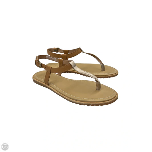 Sandals Flats By Sorel In Gold, Size: 7