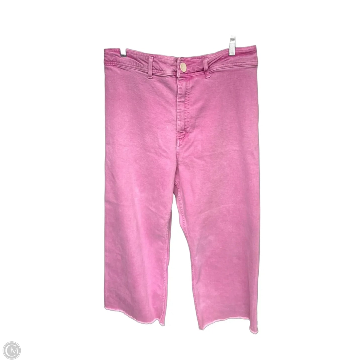 Pants Wide Leg By Zara In Pink, Size: 14