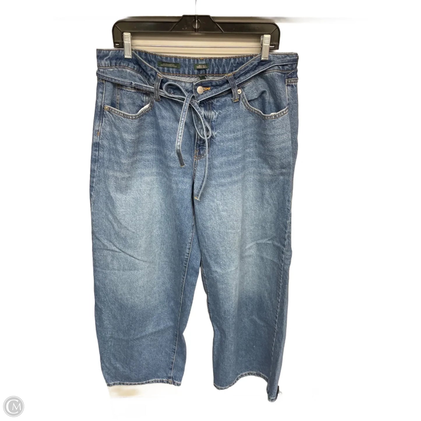 Jeans Wide Leg By Wild Fable In Blue Denim, Size: 14