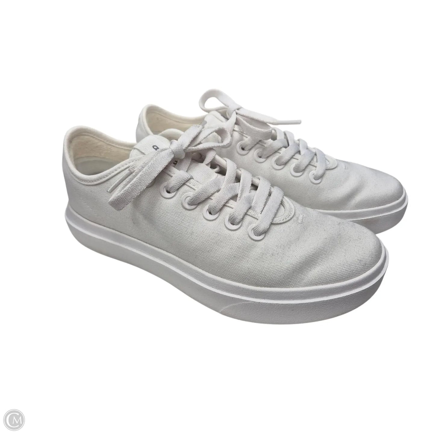 Shoes Sneakers By Allbirds In White, Size: 8