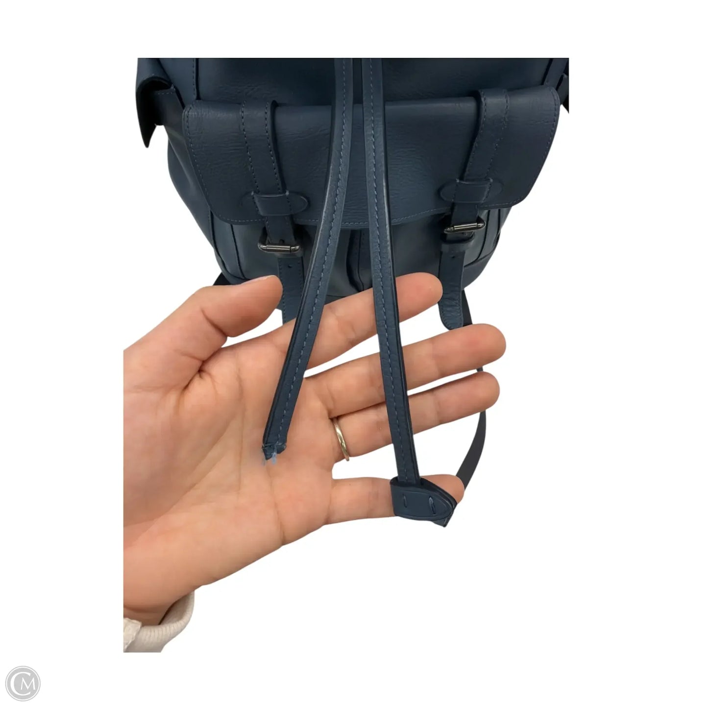 Backpack Designer By Coach, Size: Large