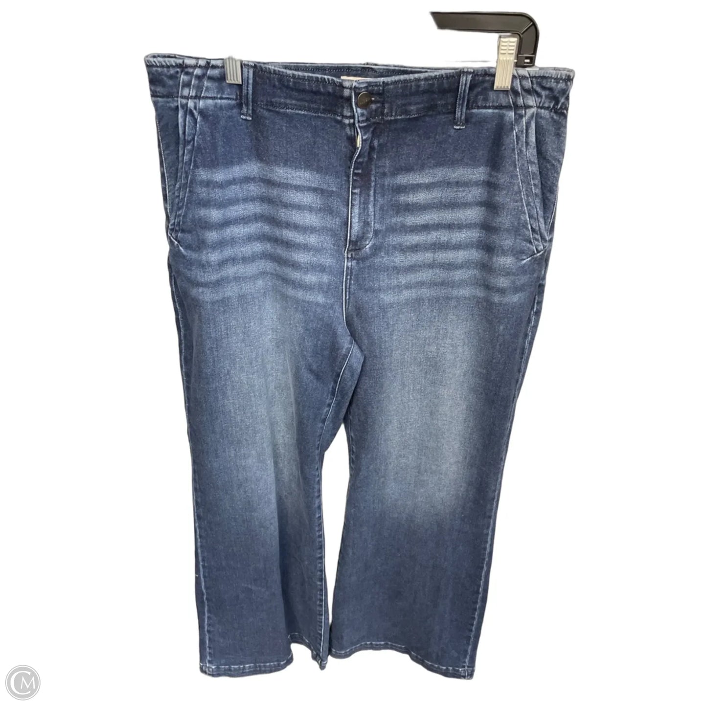 Jeans Wide Leg By Risen In Blue Denim, Size: 1x