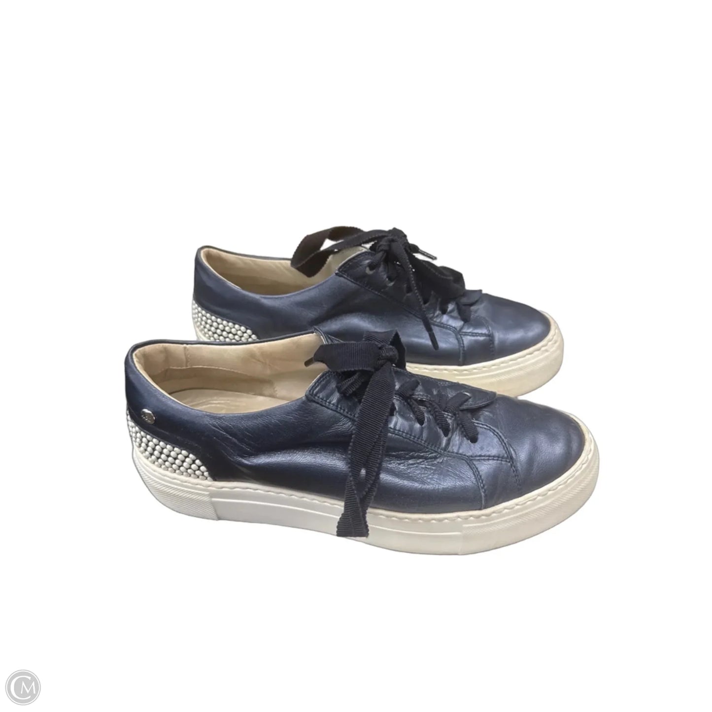 Shoes Sneakers By Agl In Blue, Size: 8.5