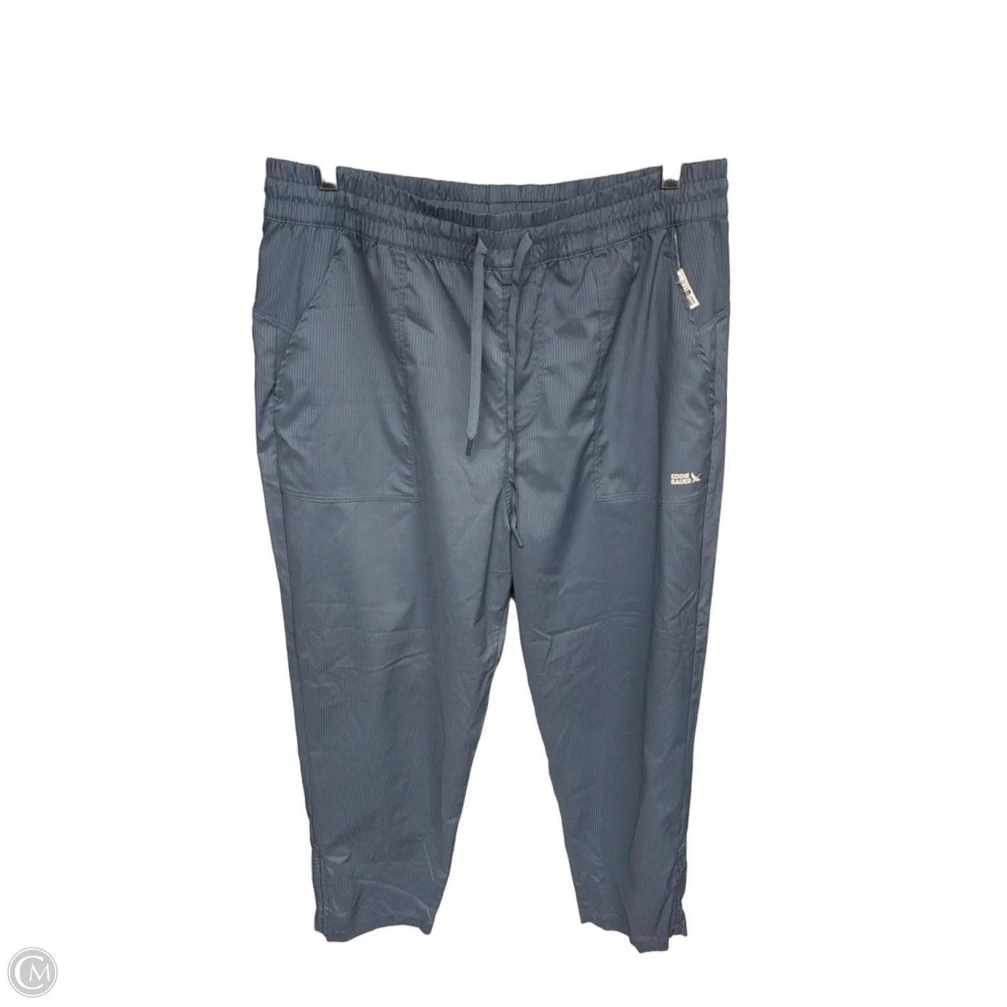 Athletic Pants By Eddie Bauer In Blue, Size: L
