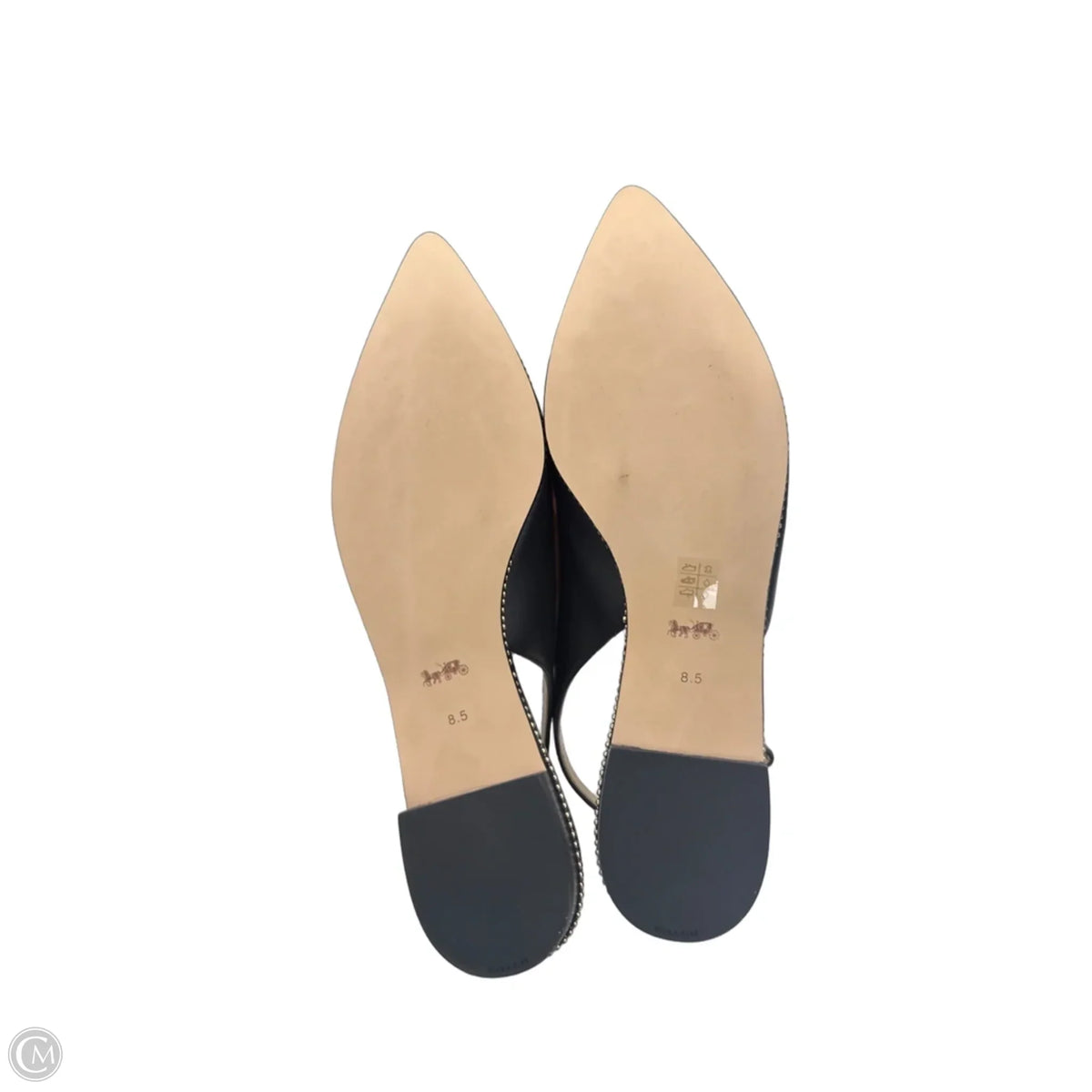 Shoes Designer By Coach In Black, Size: 8.5