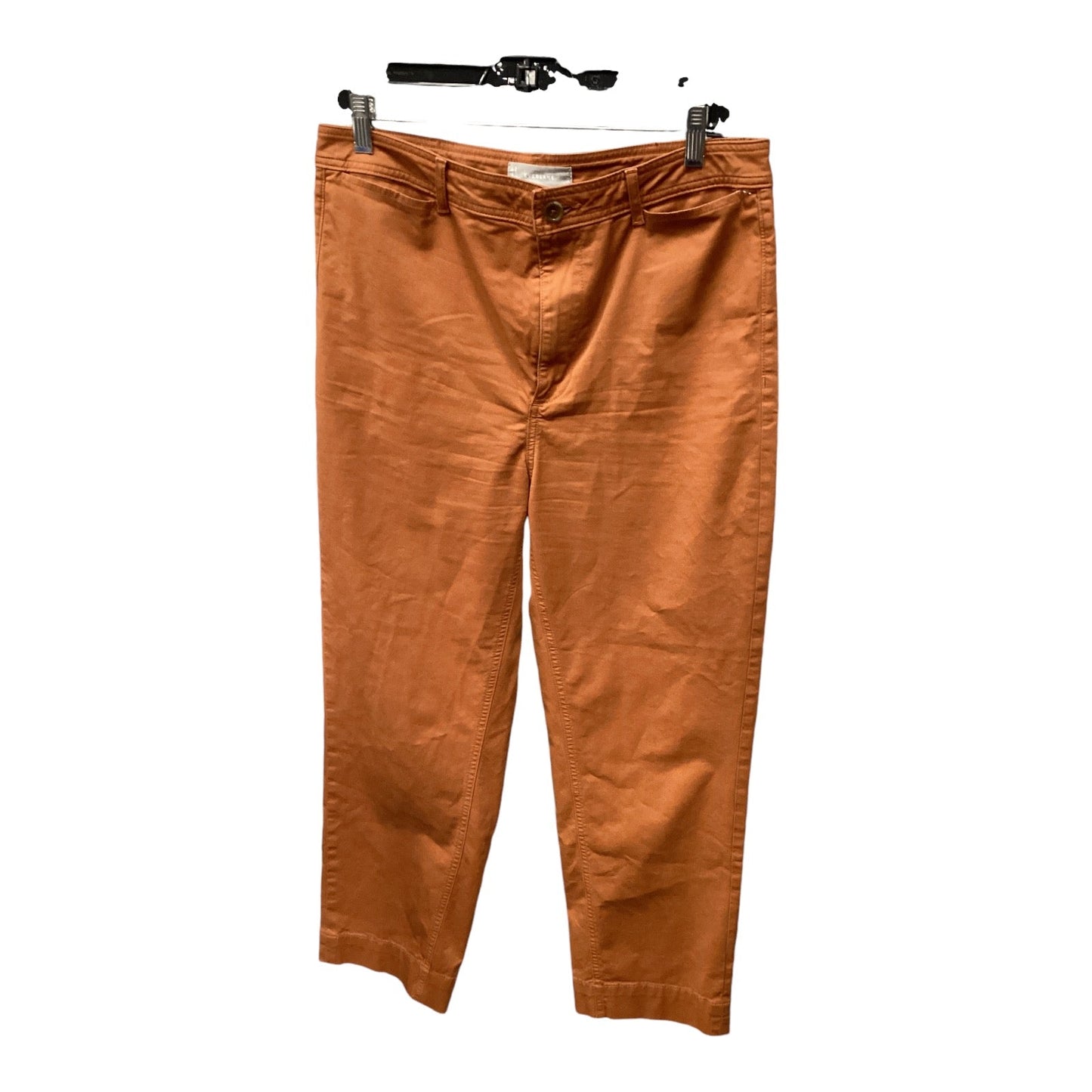 Pants Chinos & Khakis By Everlane In Orange, Size: 12