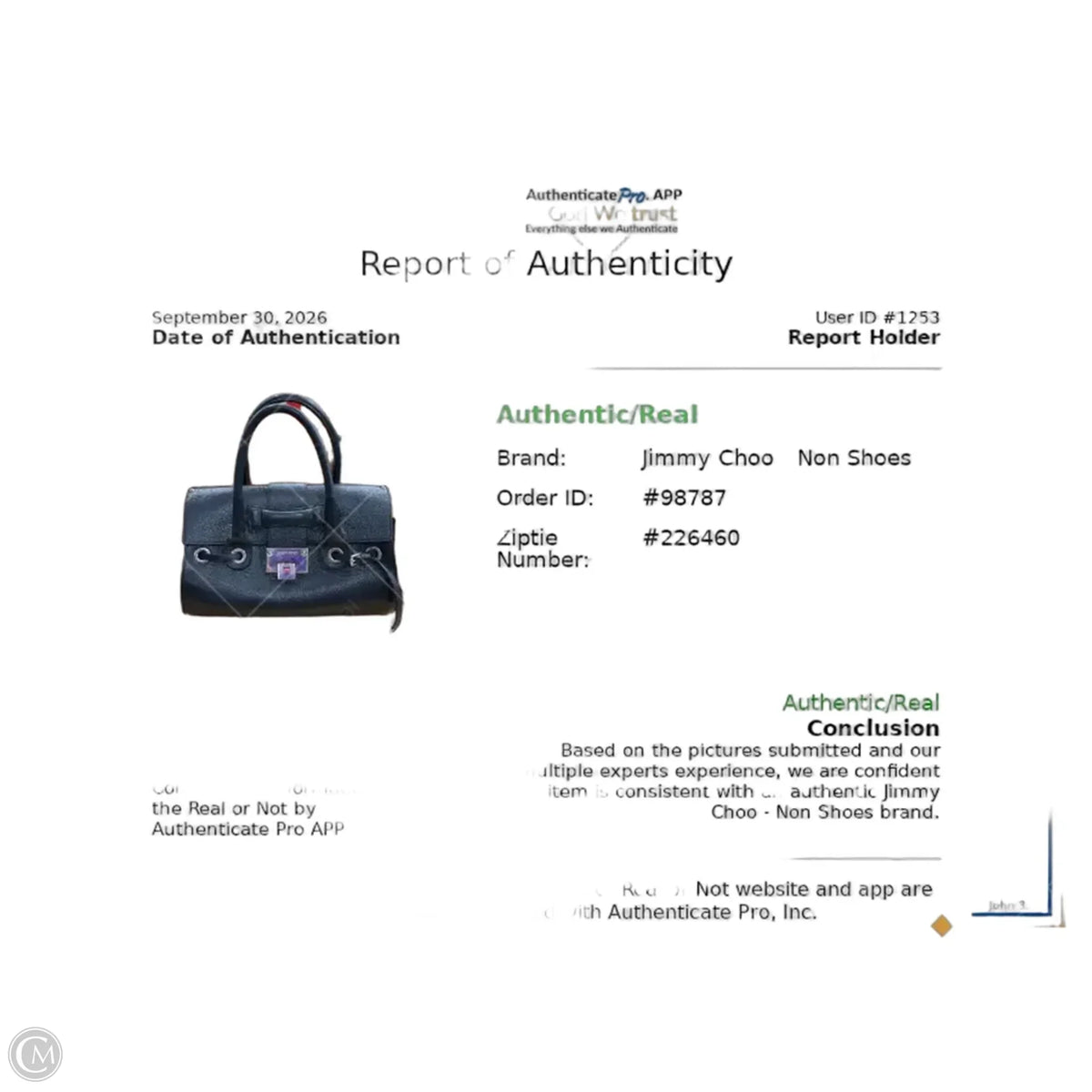 Handbag Luxury Designer By Jimmy Choo, Size: Medium