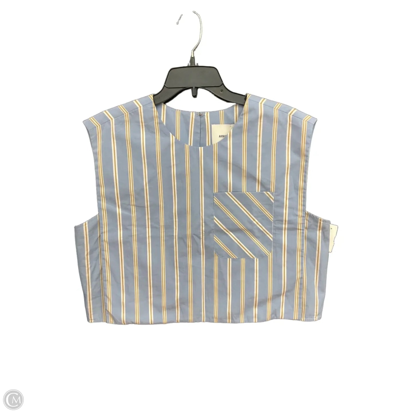 Top Sleeveless By Clothes Mentor In Striped Pattern, Size: Xl