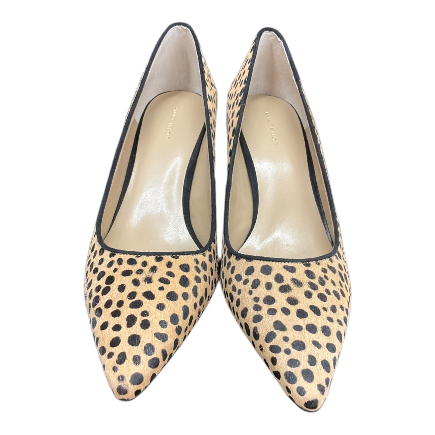 Shoes Heels Stiletto By Ann Taylor In Animal Print, Size: 8.5