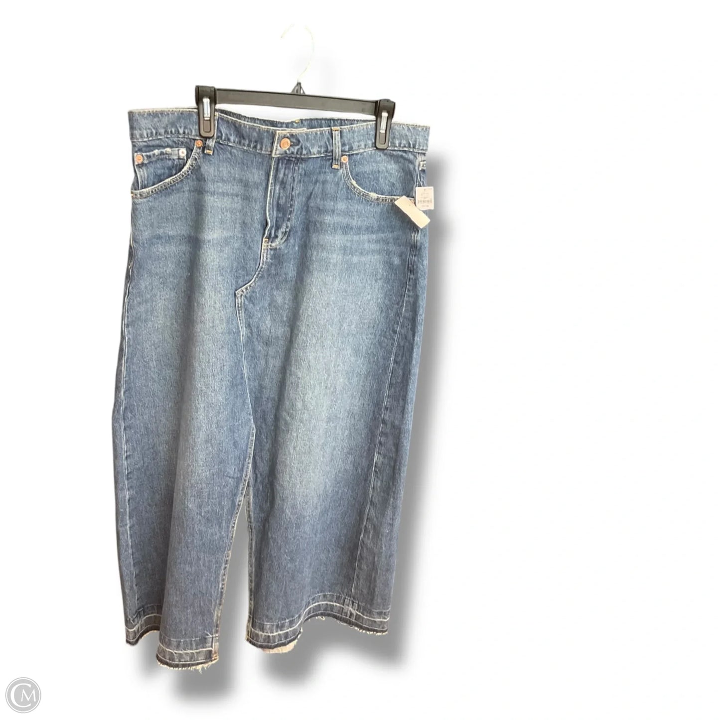 Skirt Midi By Gap In Blue, Size: 16