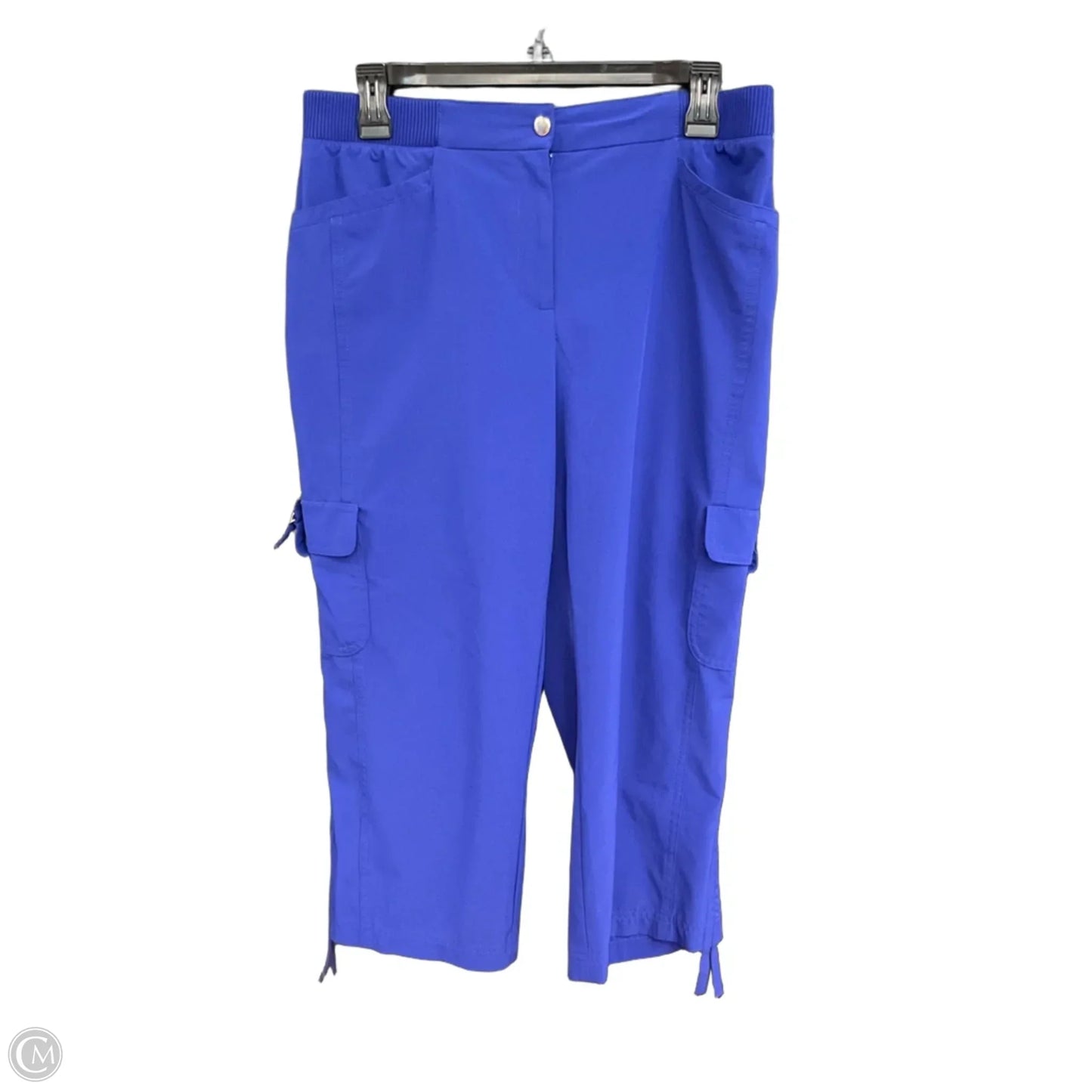 Capris By Chicos In Blue, Size: 8