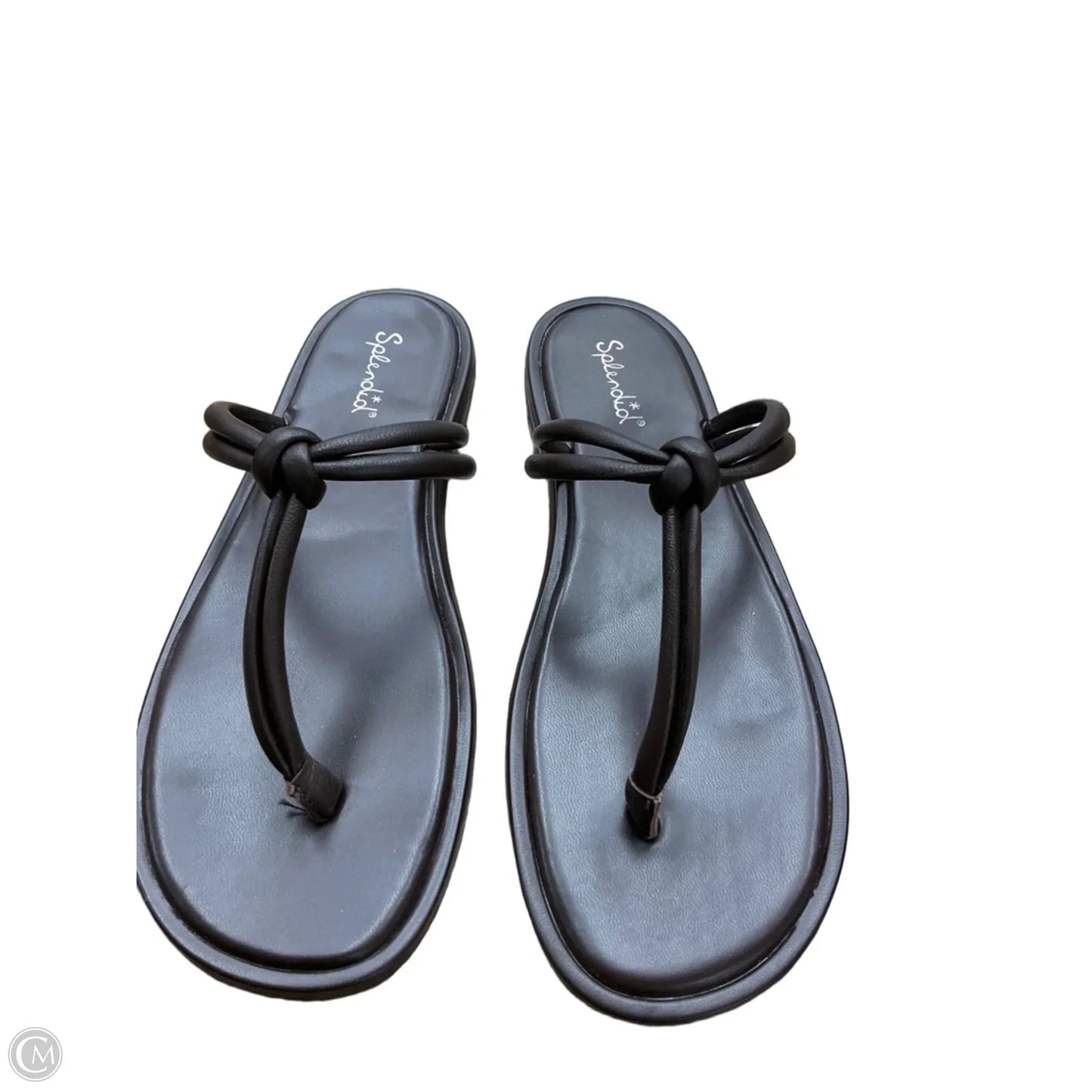 Sandals Flip Flops By Splendid In Brown, Size: 7.5