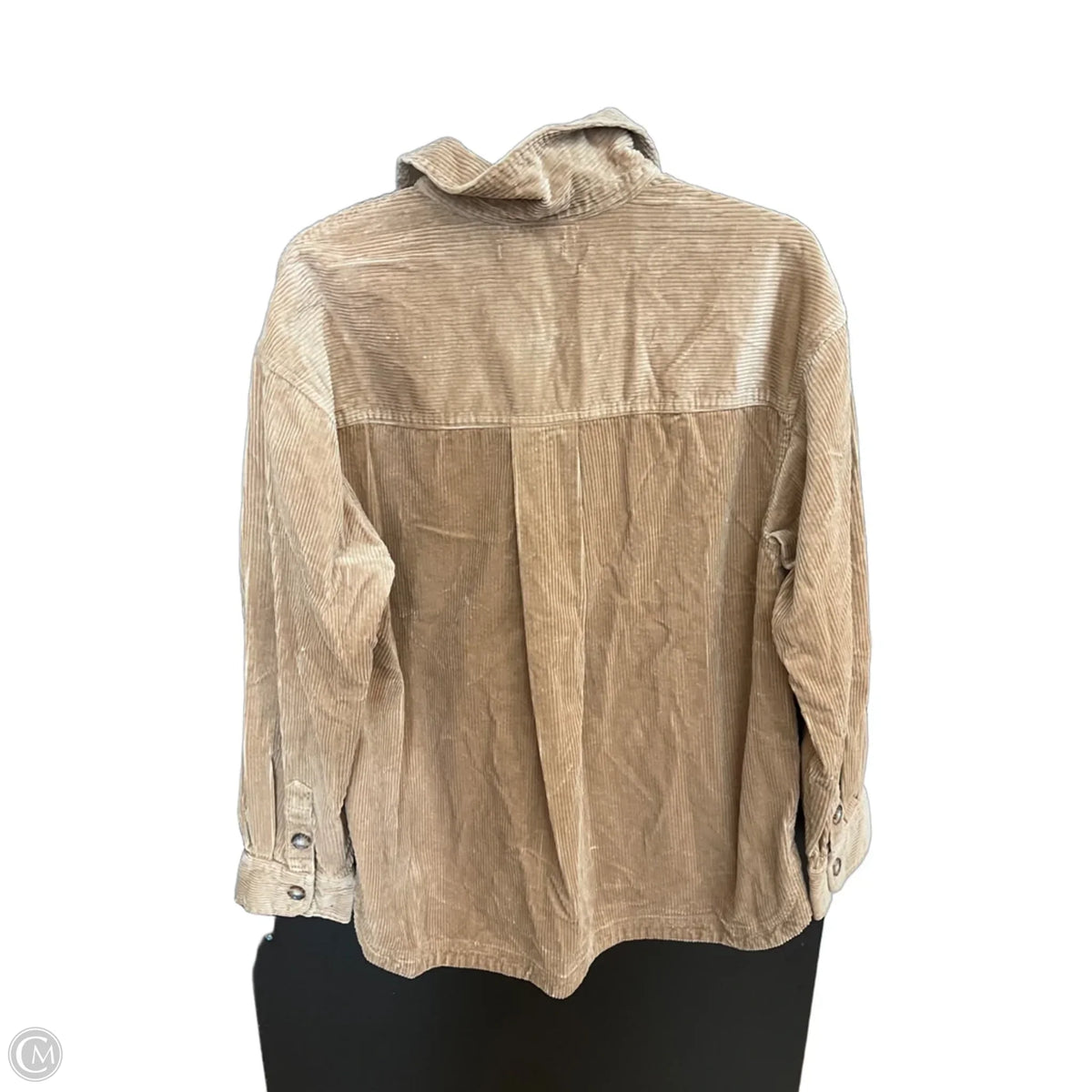 Jacket Shirt By Madewell In Brown, Size: M