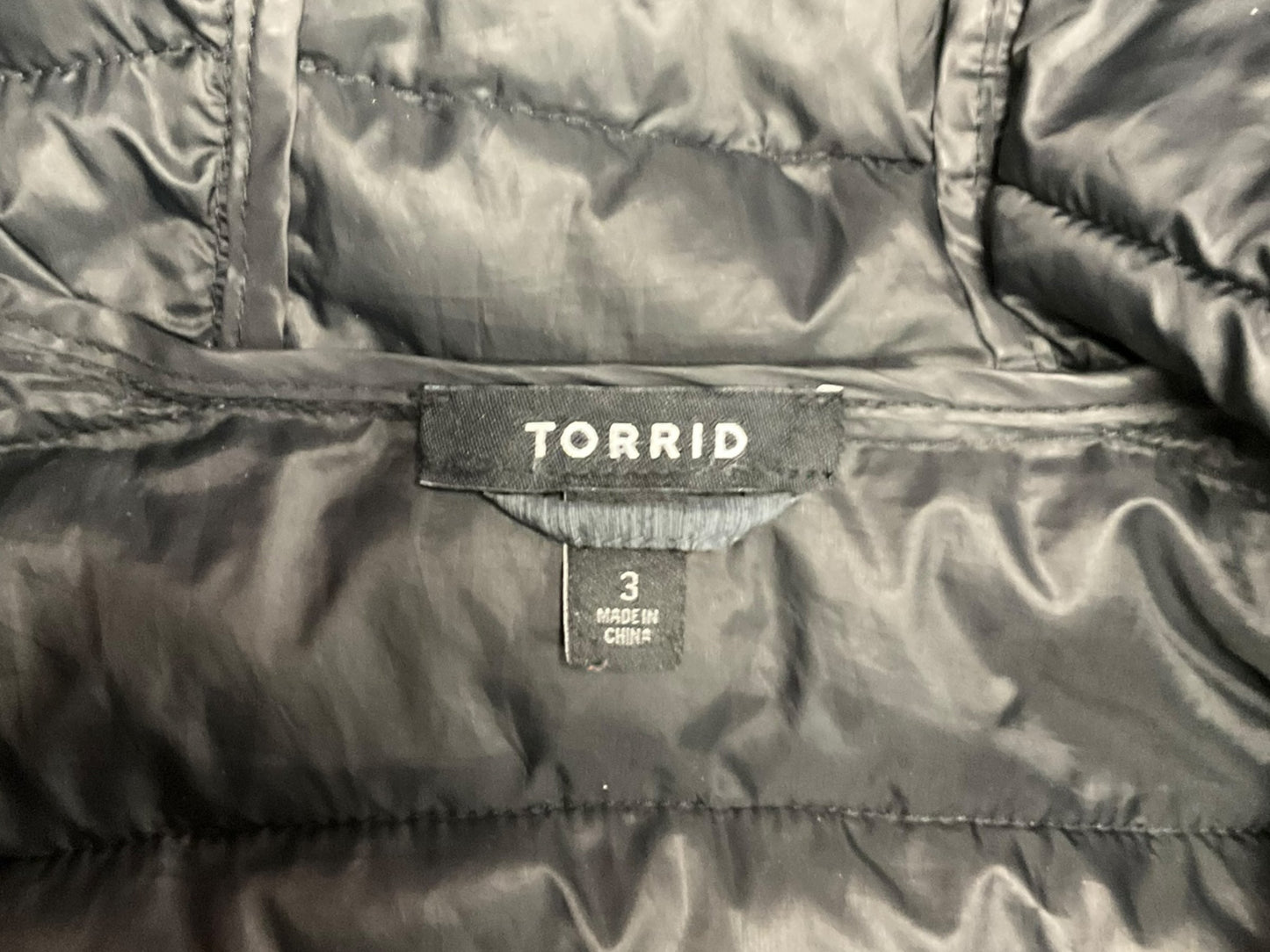 Coat Parka By Torrid In Grey, Size: 3x