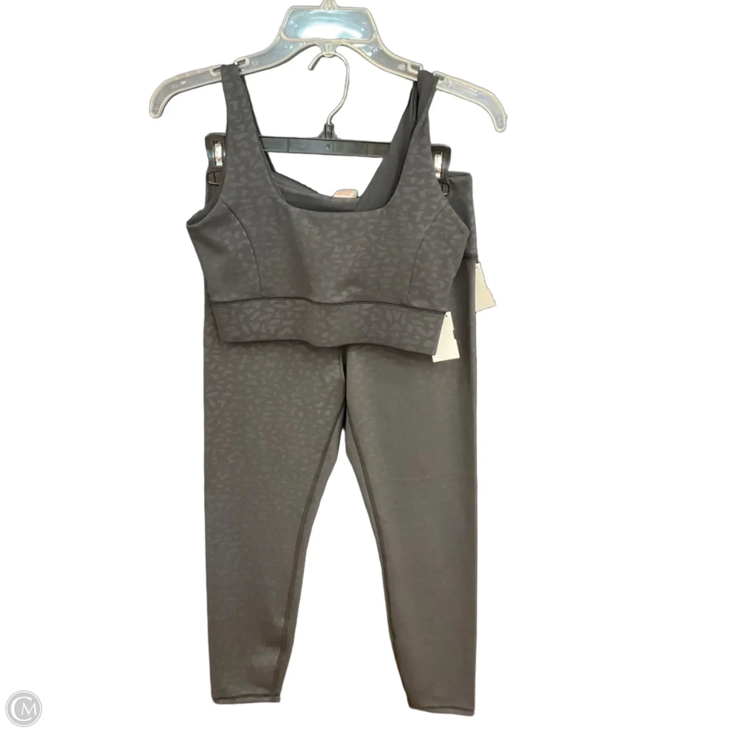 Athletic Pants 2pc By Ivl Collective In Grey, Size: M