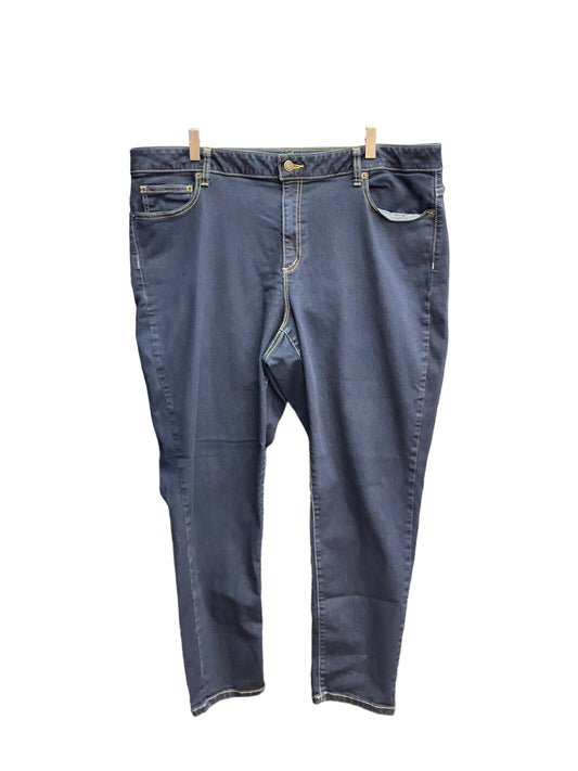 Blue Denim Jeans Skinny Michael Kors, Size 20