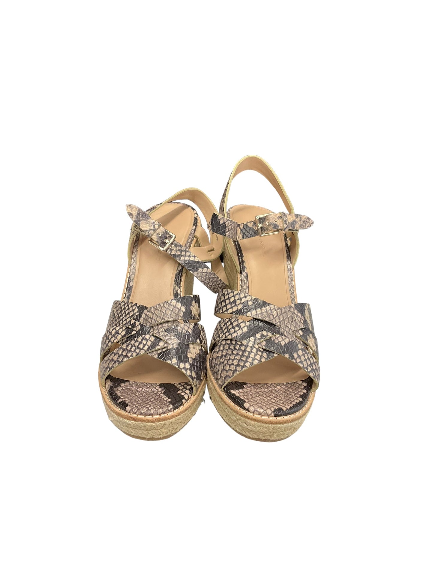 Snakeskin Print Shoes Heels Wedge Banana Republic, Size 9
