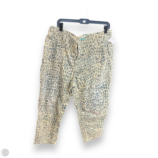 Pants Other By Pilcro In Animal Print, Size: 18