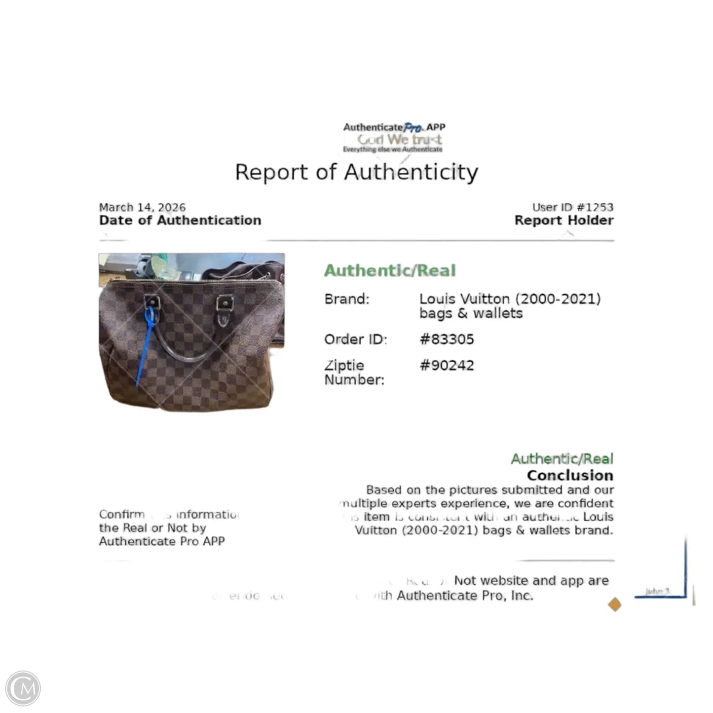 Handbag Luxury Designer By Louis Vuitton, Size: Large