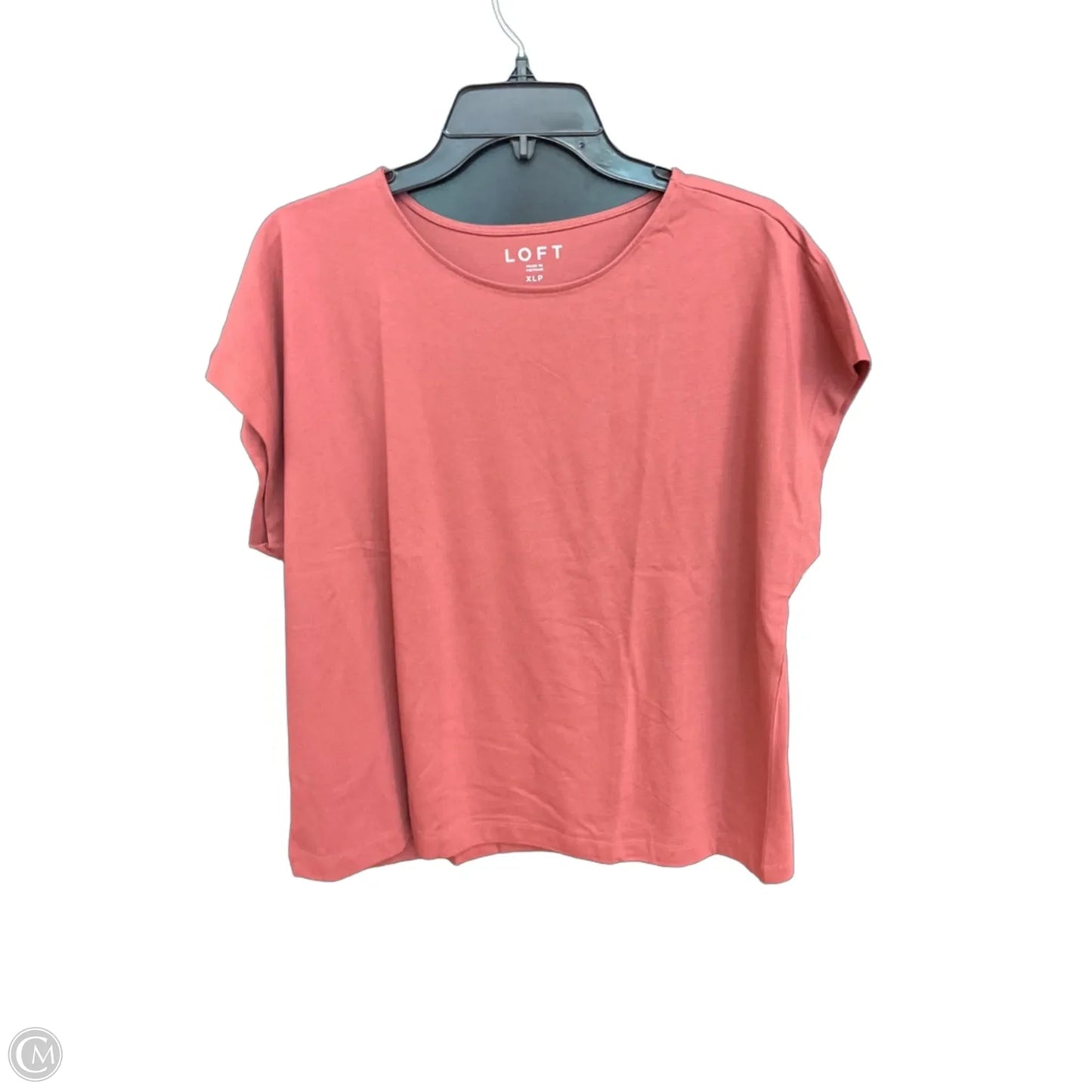 Top Sleeveless By Loft In Brown, Size: Xlp