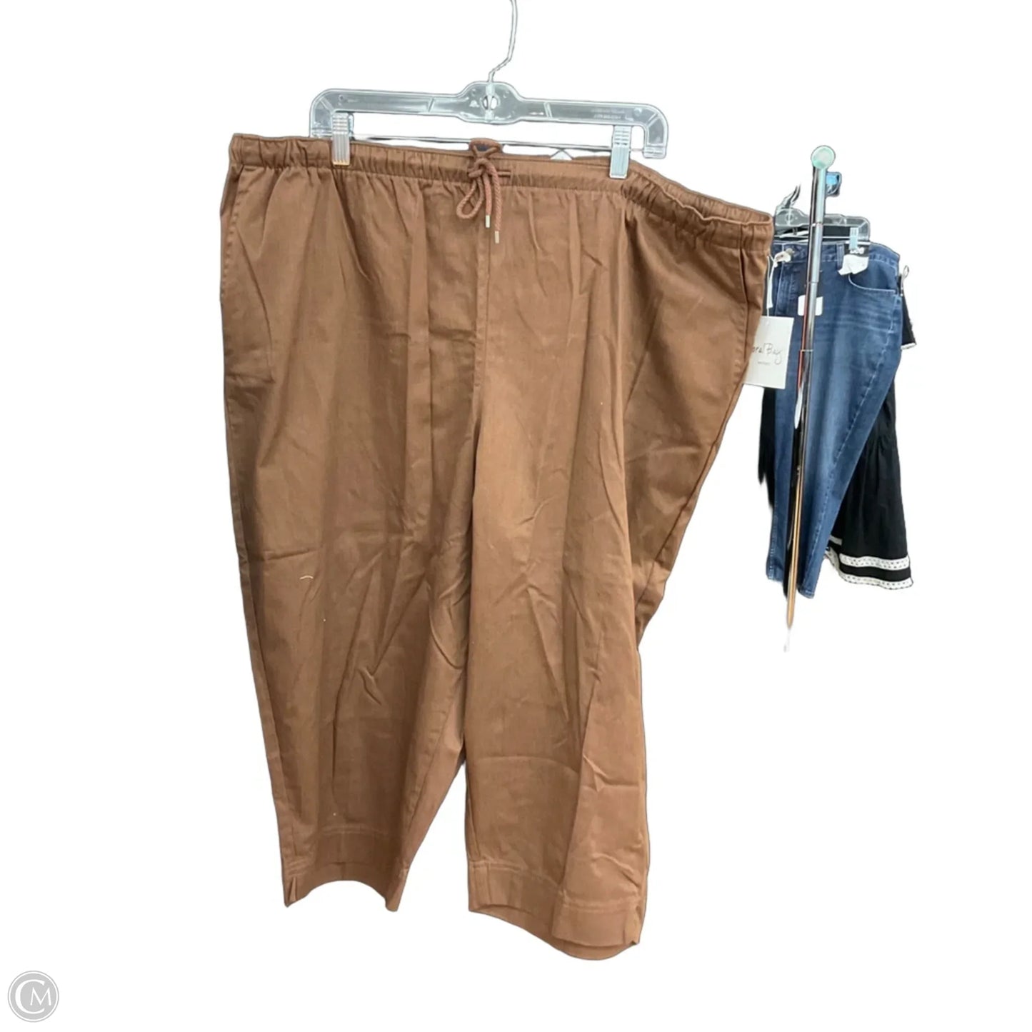 Capris By Coral Bay In Brown, Size: 2x