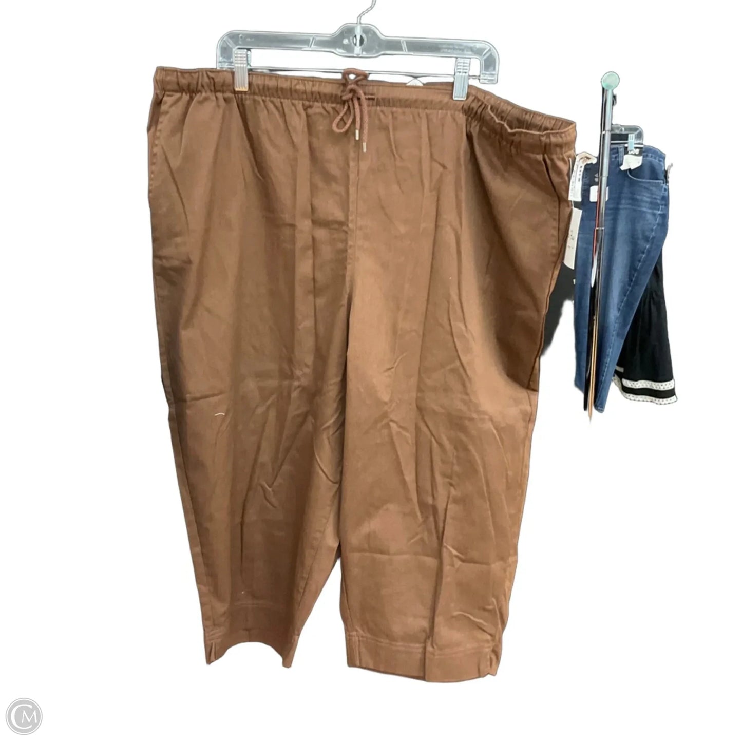 Capris By Coral Bay In Brown, Size: 2x