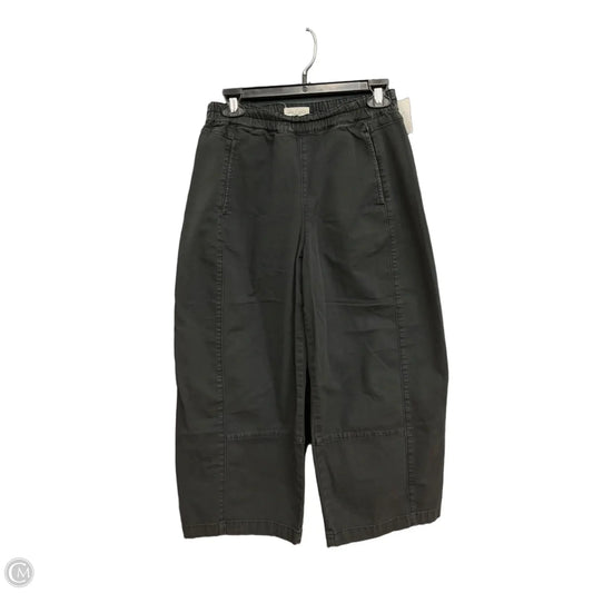 Pants Wide Leg By Pilcro In Black, Size: 2p
