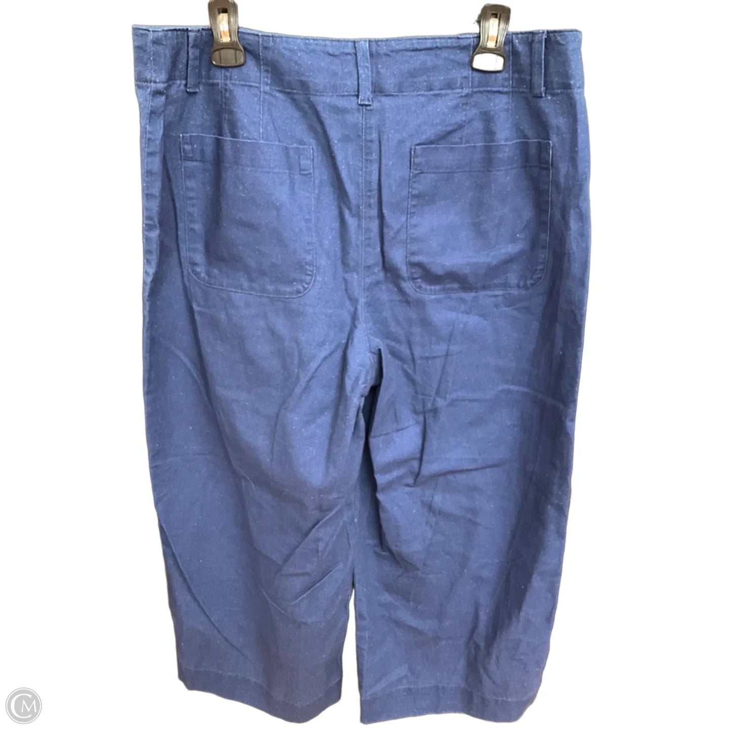 Pants Other By Talbots In Blue, Size: 12