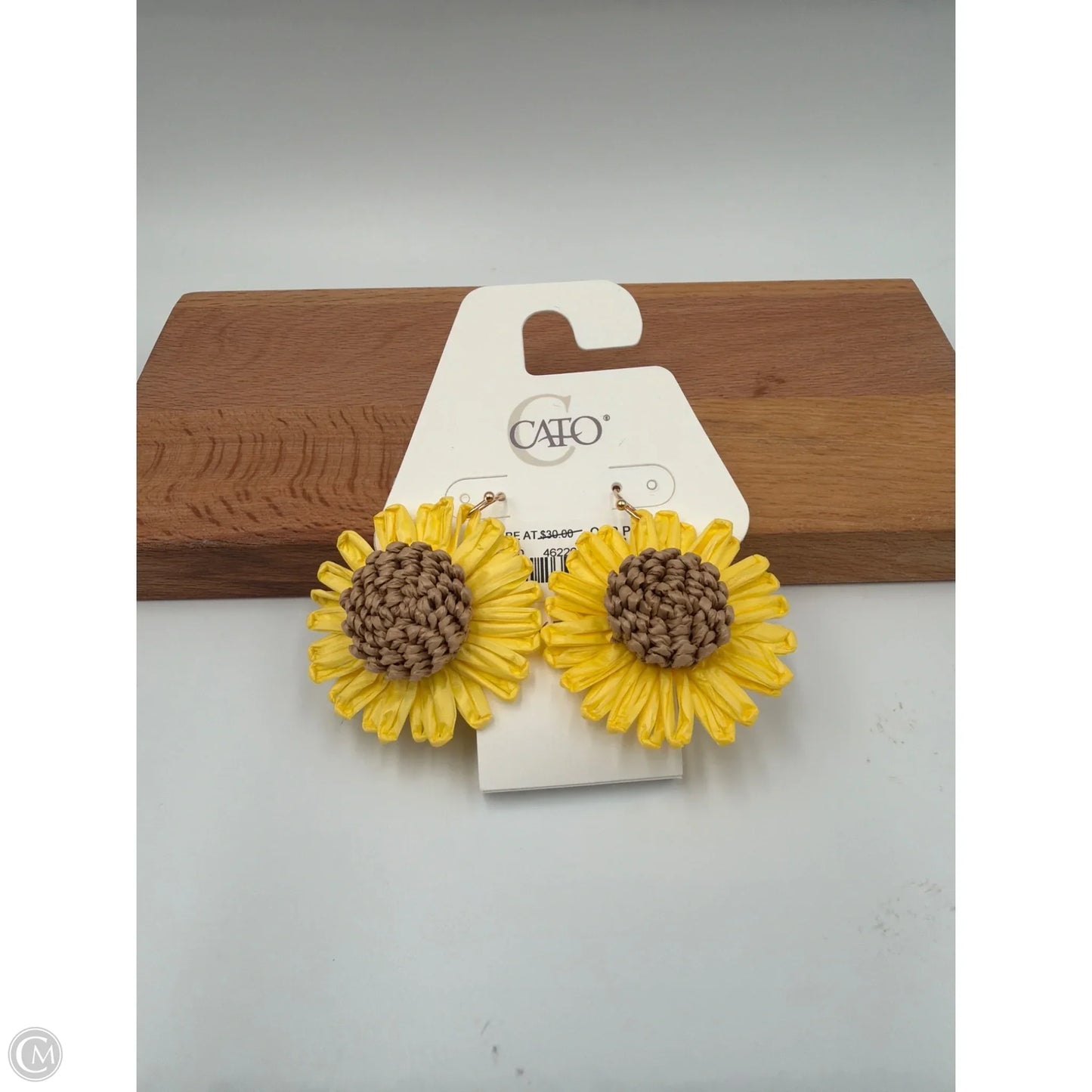 Earrings Other By Clothes Mentor