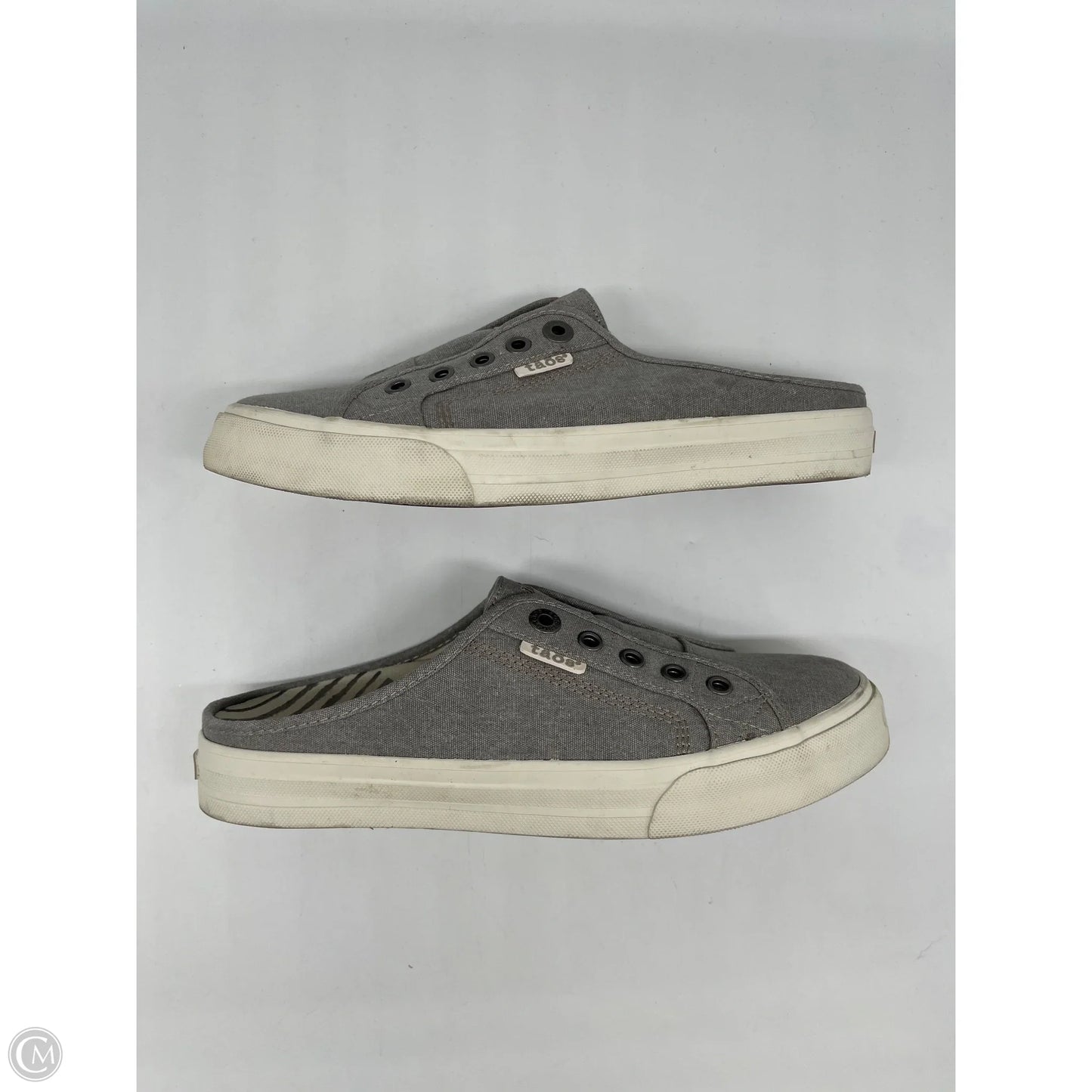 Shoes Athletic By Taos In Grey, Size: 9