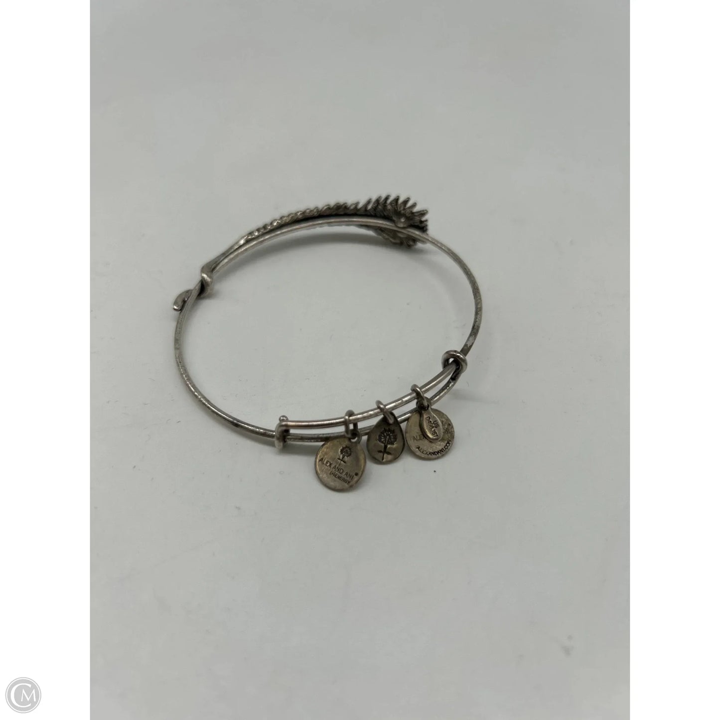 Bracelet Bangle By Alex And Ani