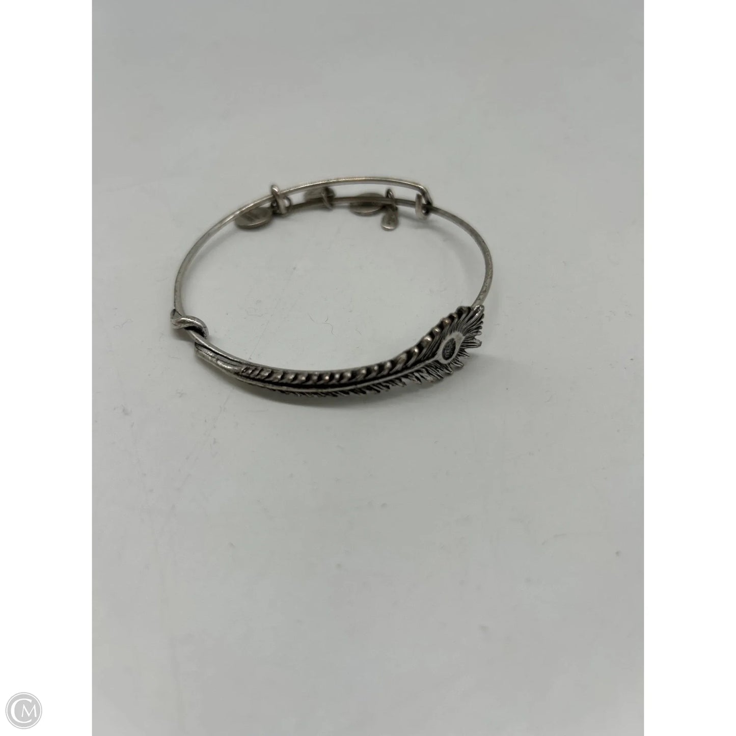 Bracelet Bangle By Alex And Ani