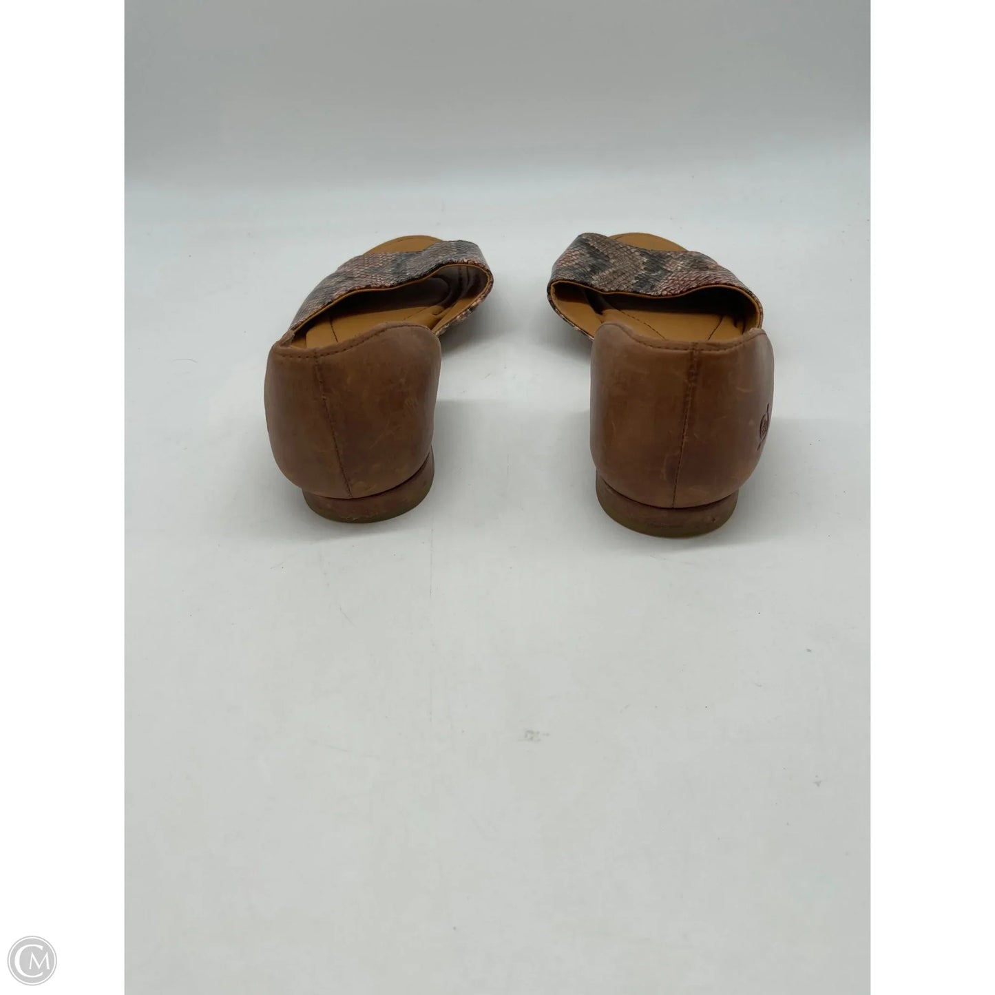 Sandals Flats By Born In Snakeskin Print, Size: 9