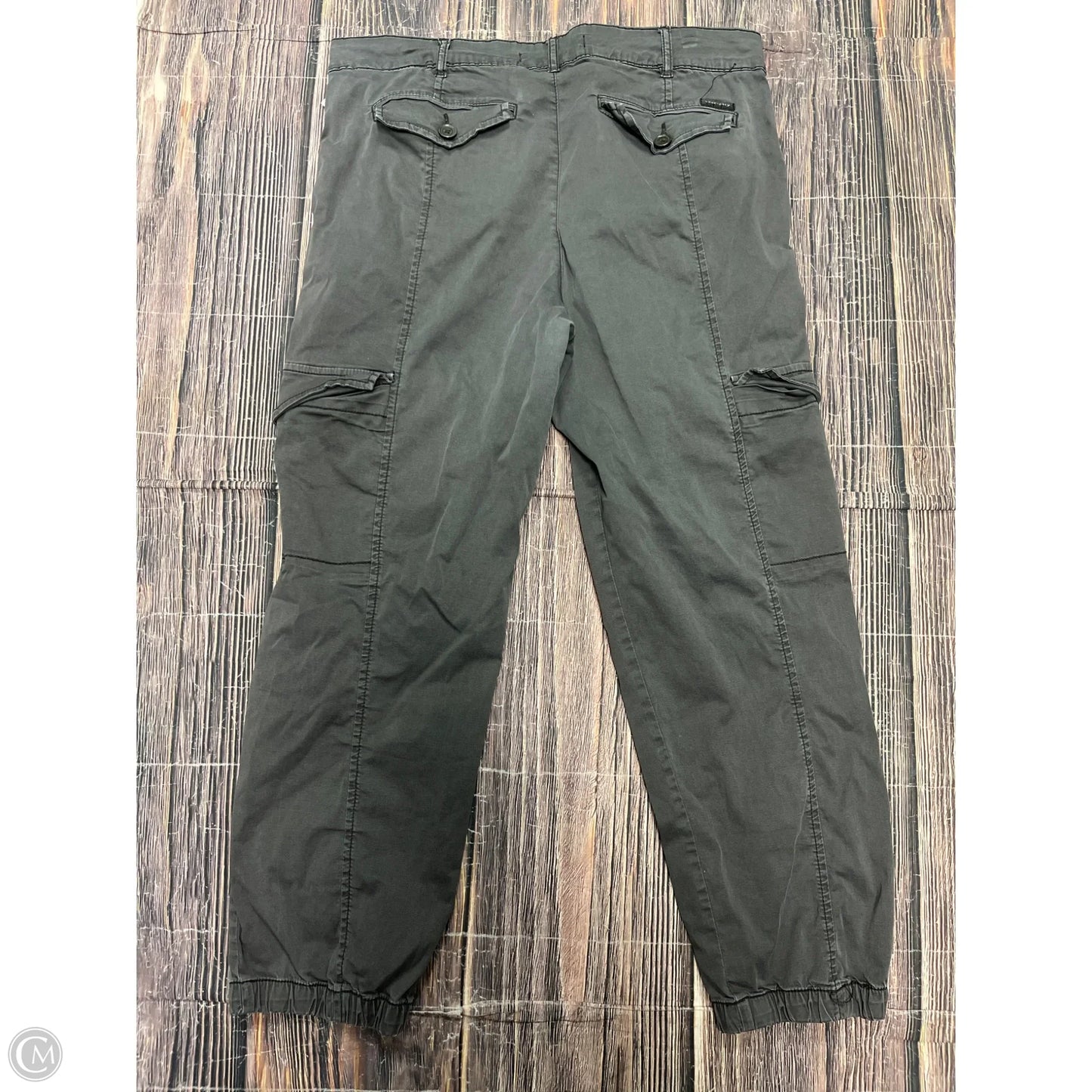 Pants Cargo & Utility By Sanctuary In Grey, Size: 12