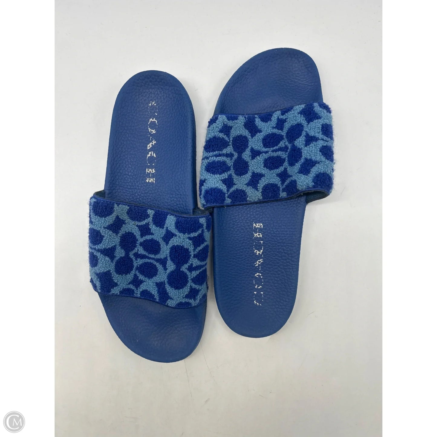 Sandals Designer By Coach In Blue, Size: 10