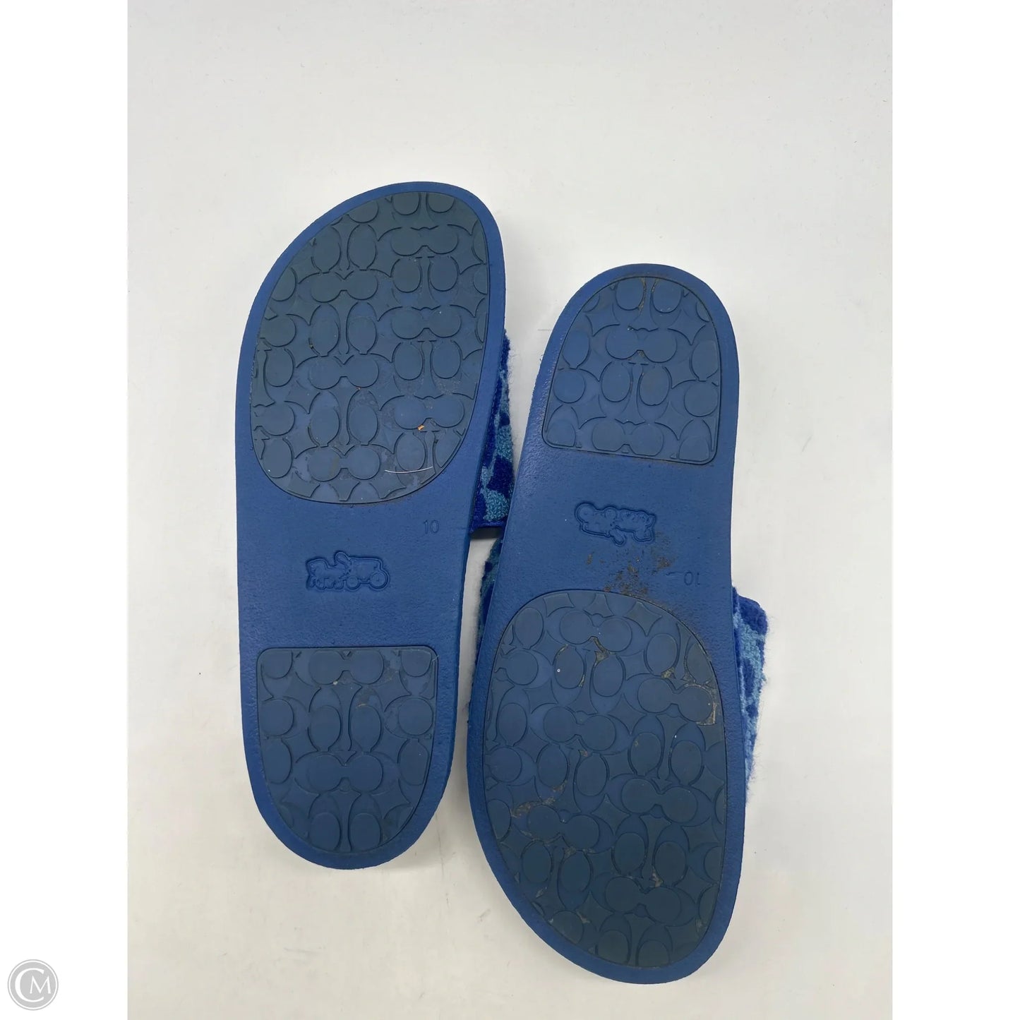 Sandals Designer By Coach In Blue, Size: 10