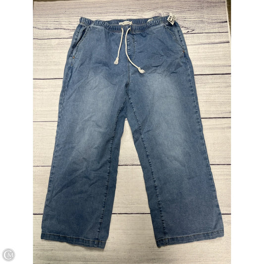 Jeans Designer By Rebecca Minkoff In Blue Denim, Size: 14