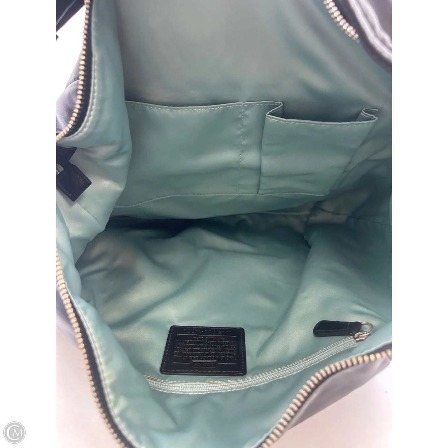 Crossbody Designer By Coach, Size: Large