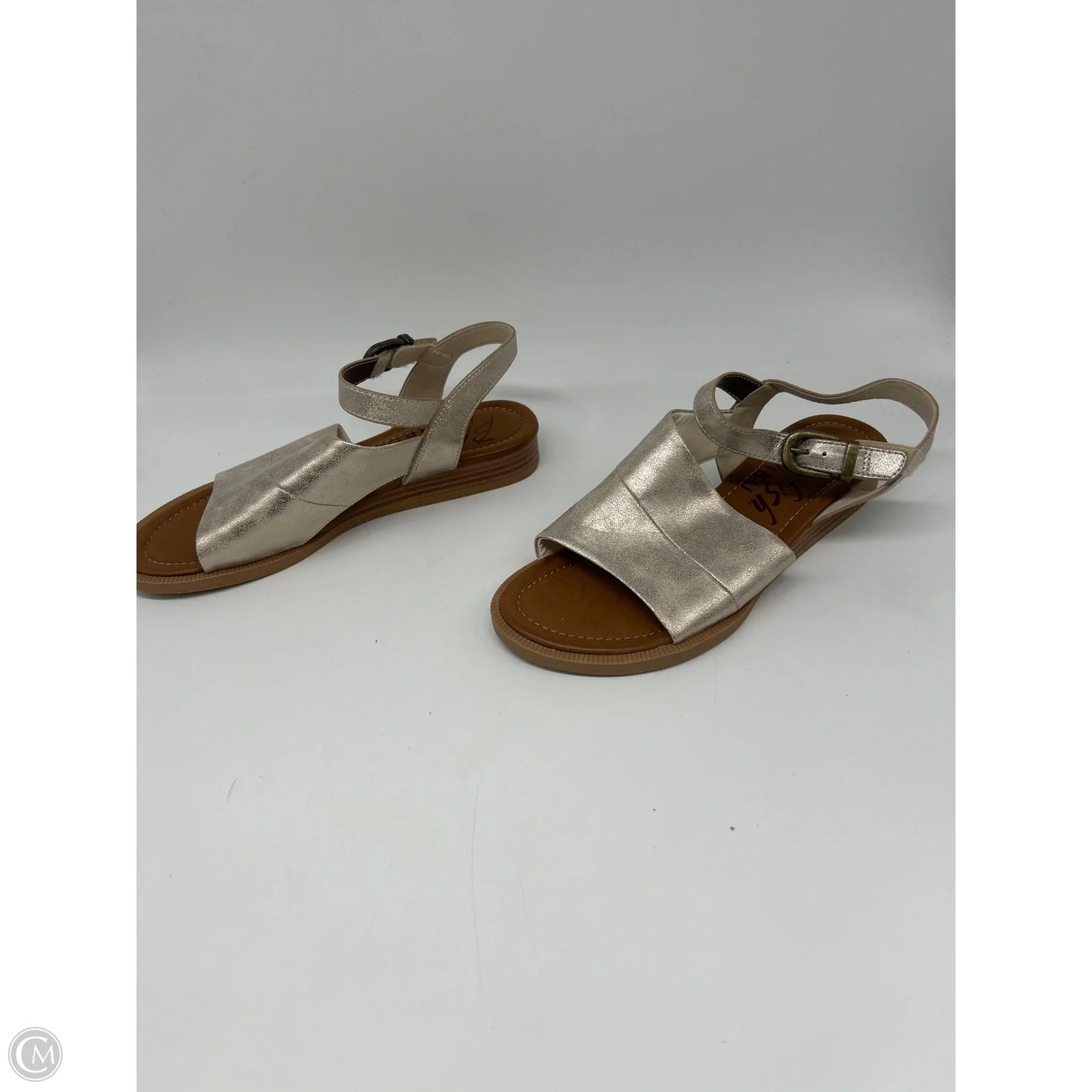 Sandals Flats By Blowfish In Silver, Size: 8