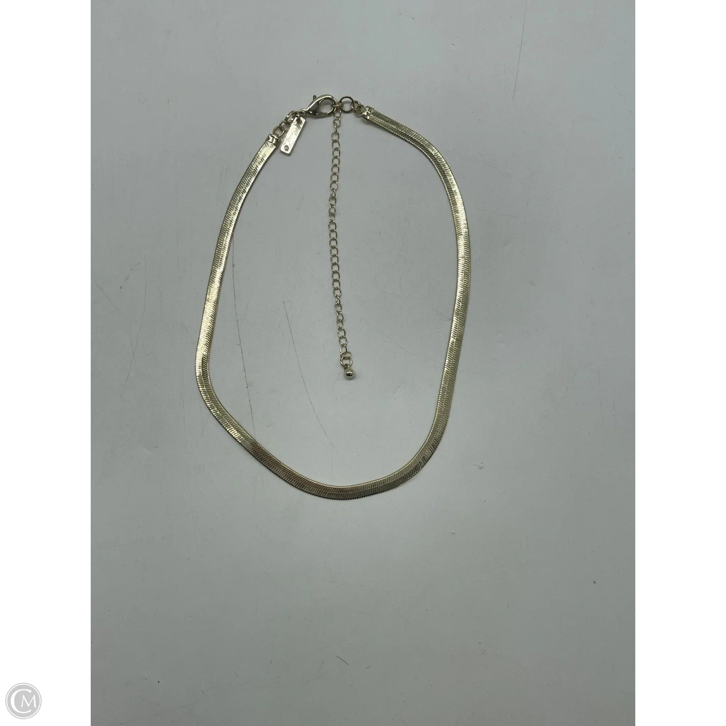 Necklace Chain By White House Black Market