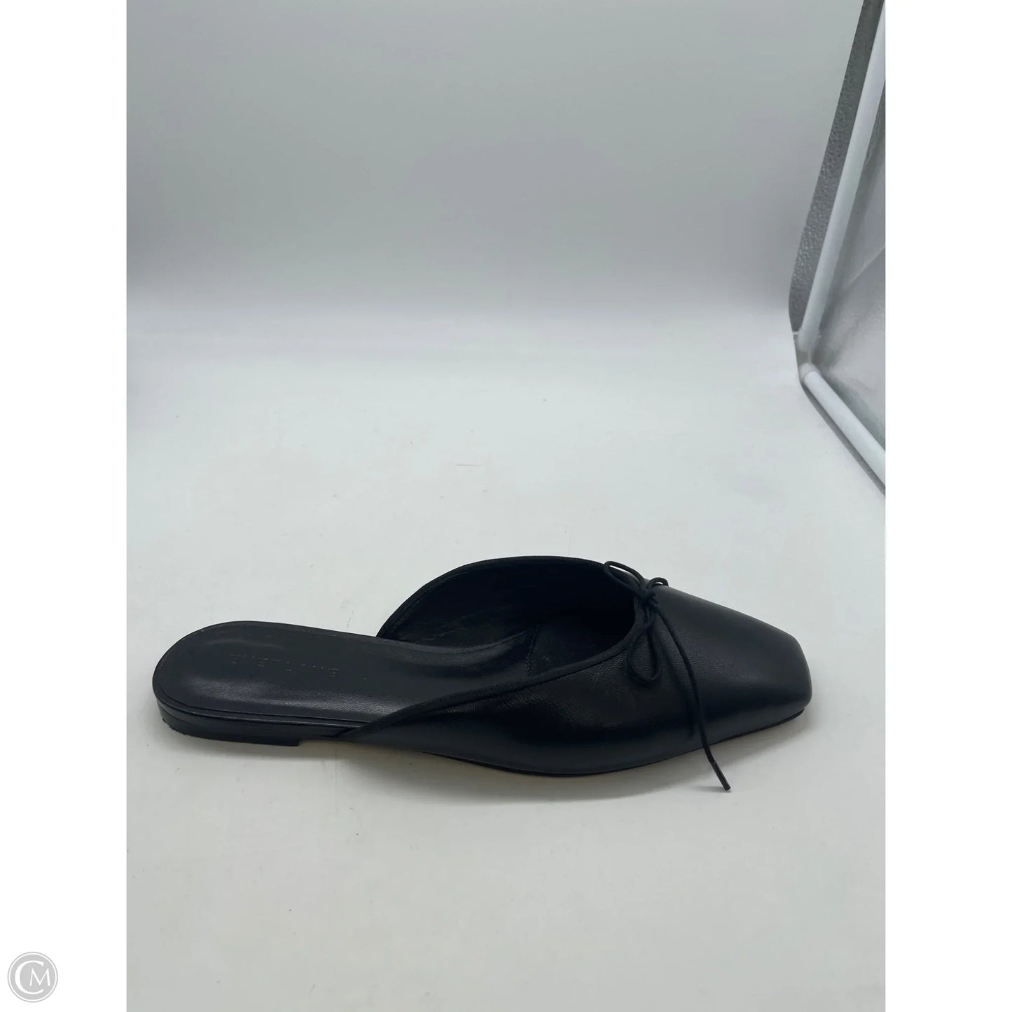 Shoes Flats By Everlane In Black, Size: 9