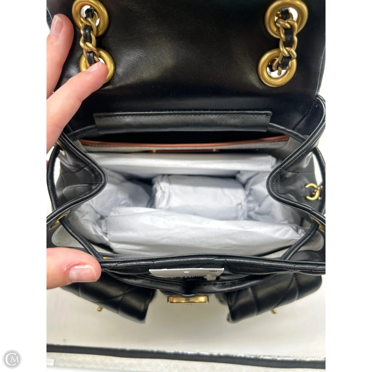 Backpack Designer By Coach, Size: Small