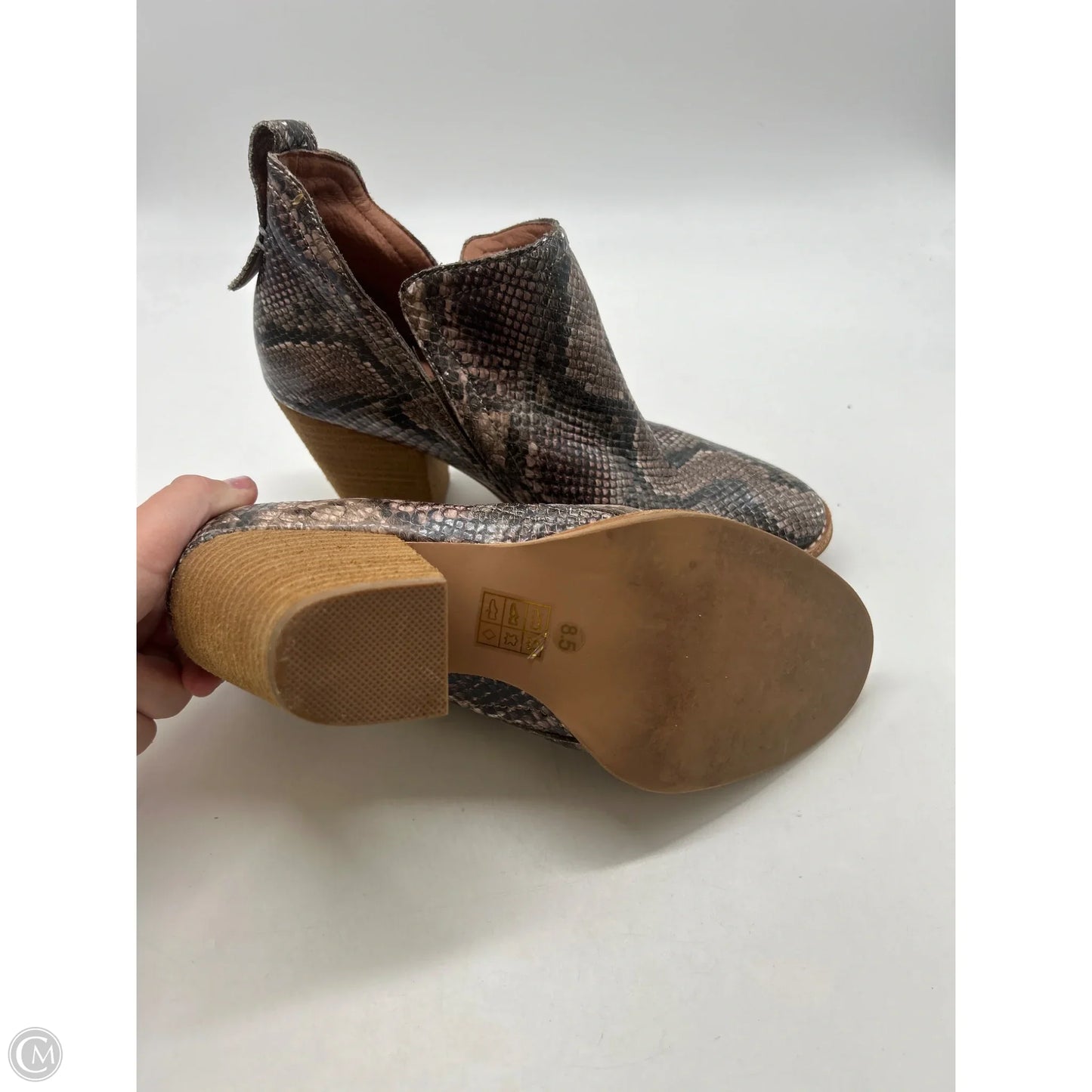 Boots Ankle Heels By Jeffrey Campbell In Snakeskin Print, Size: 8.5