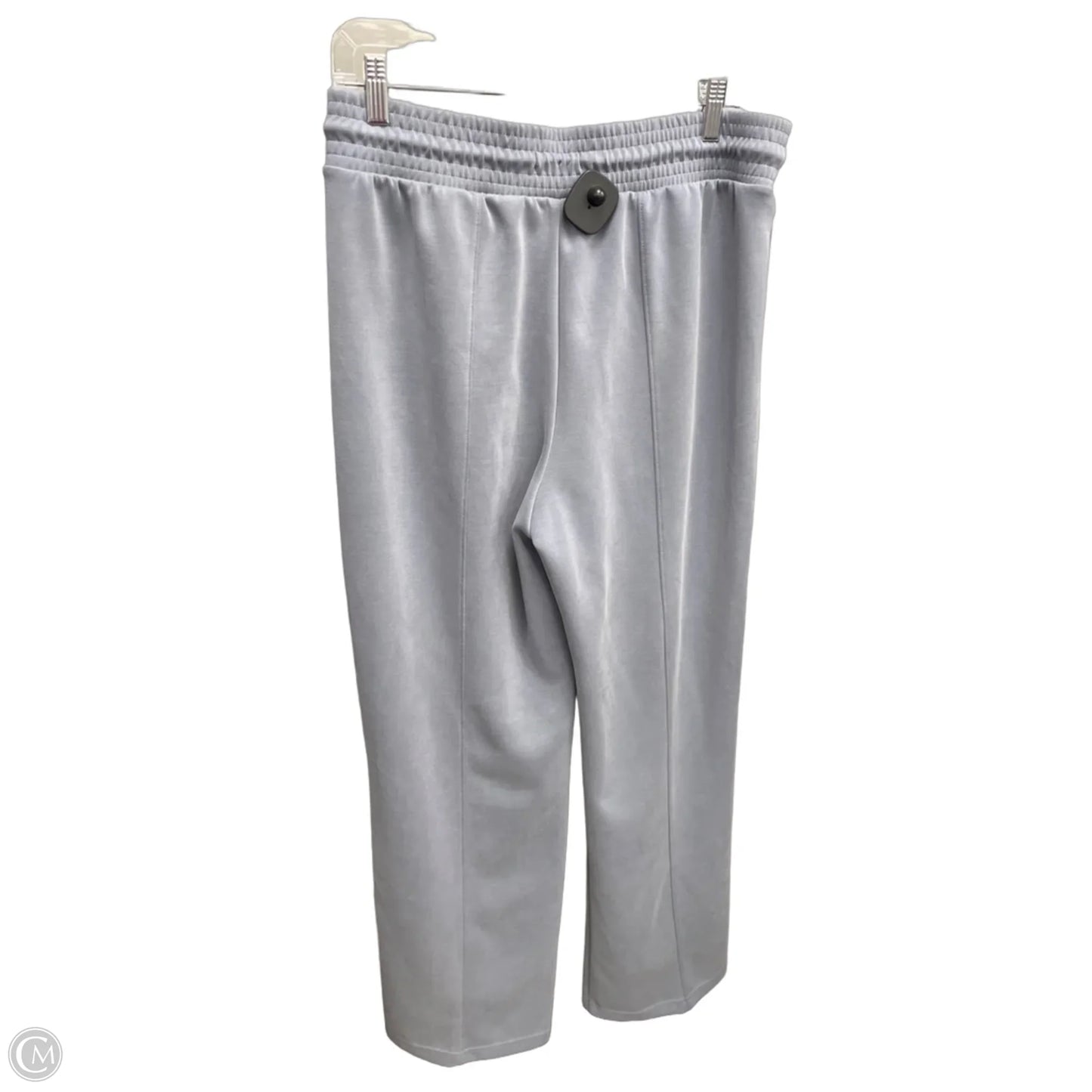 Athletic Pants By Flx In Blue, Size: L