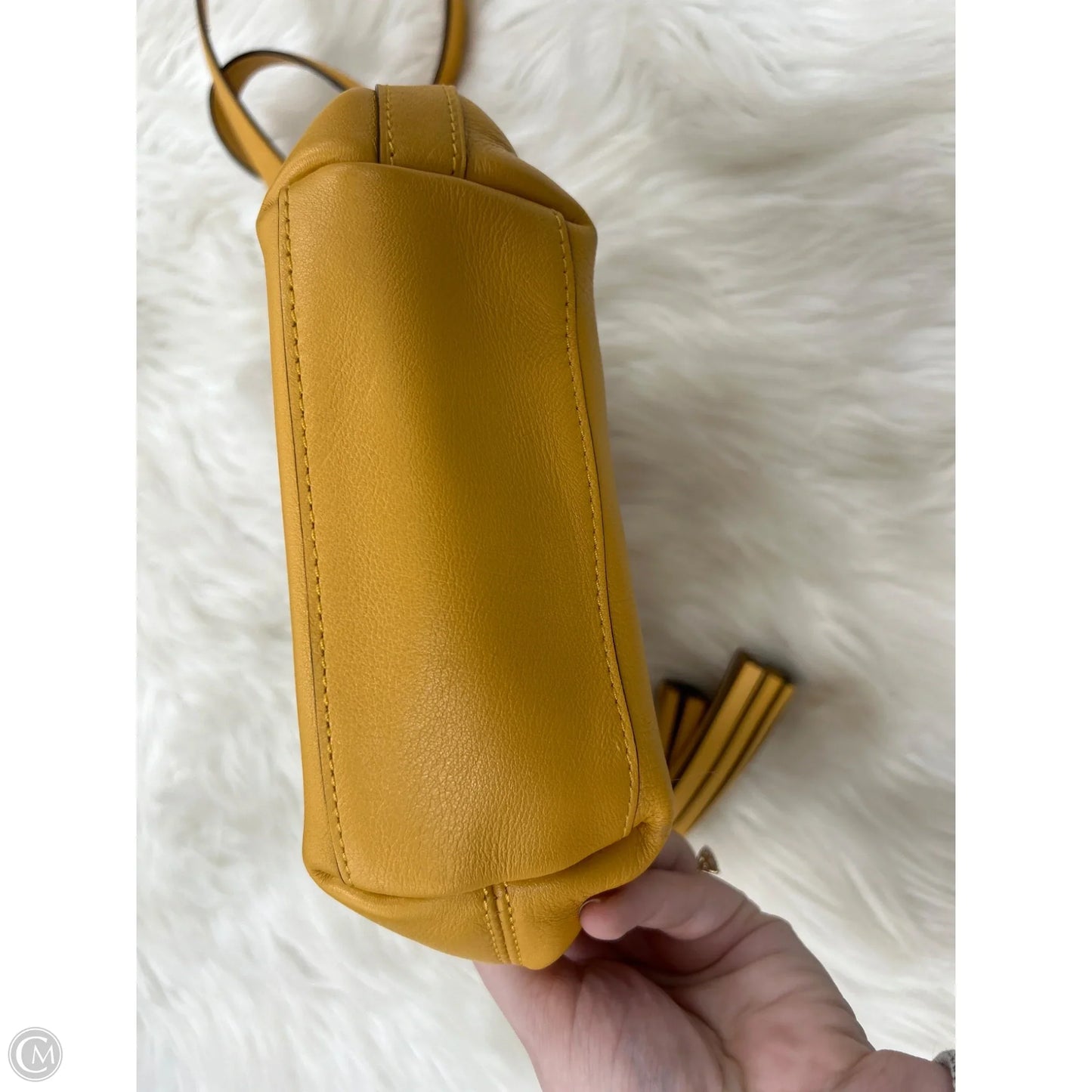 Crossbody Designer By Coach, Size: Small