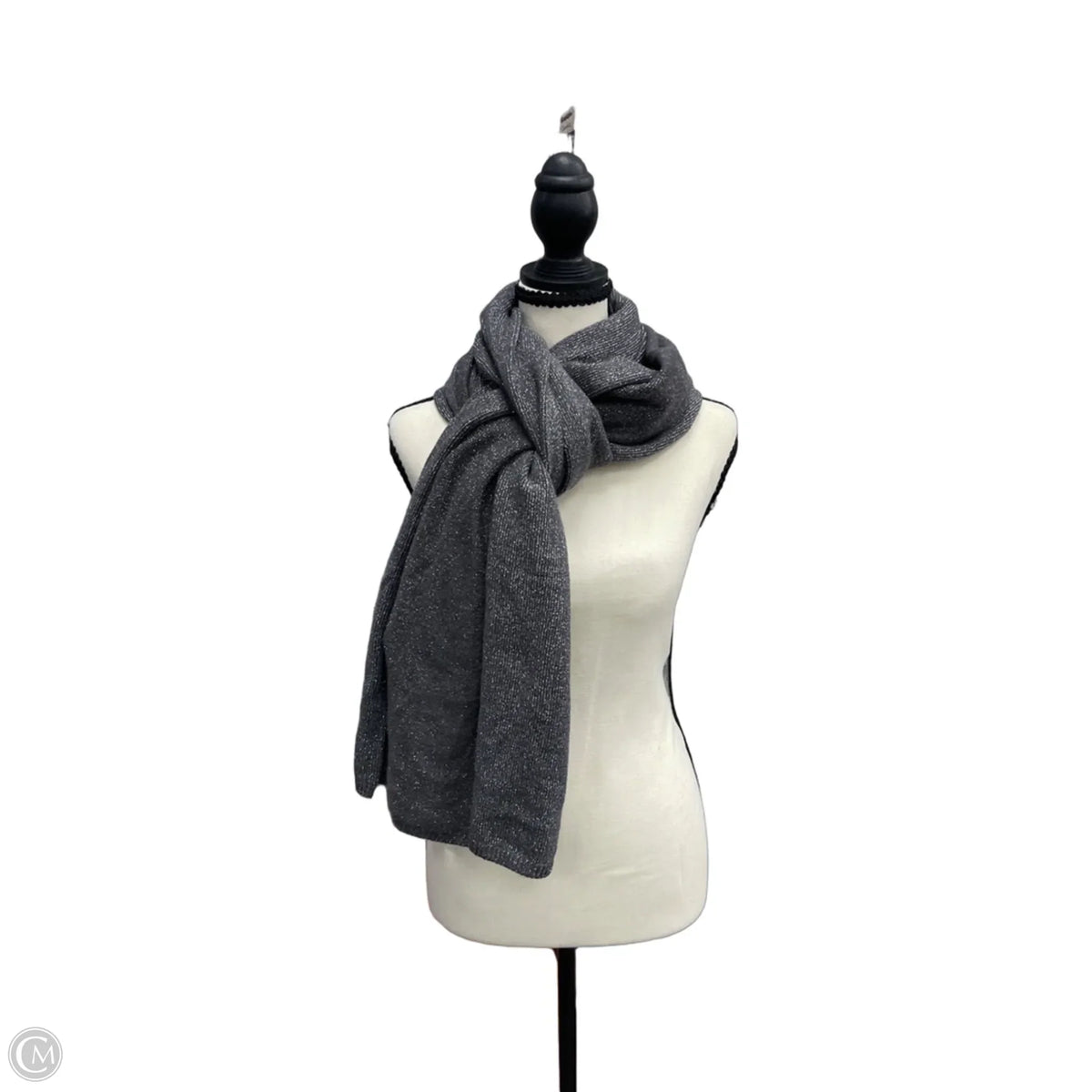 Scarf Winter By Ann Taylor In Silver