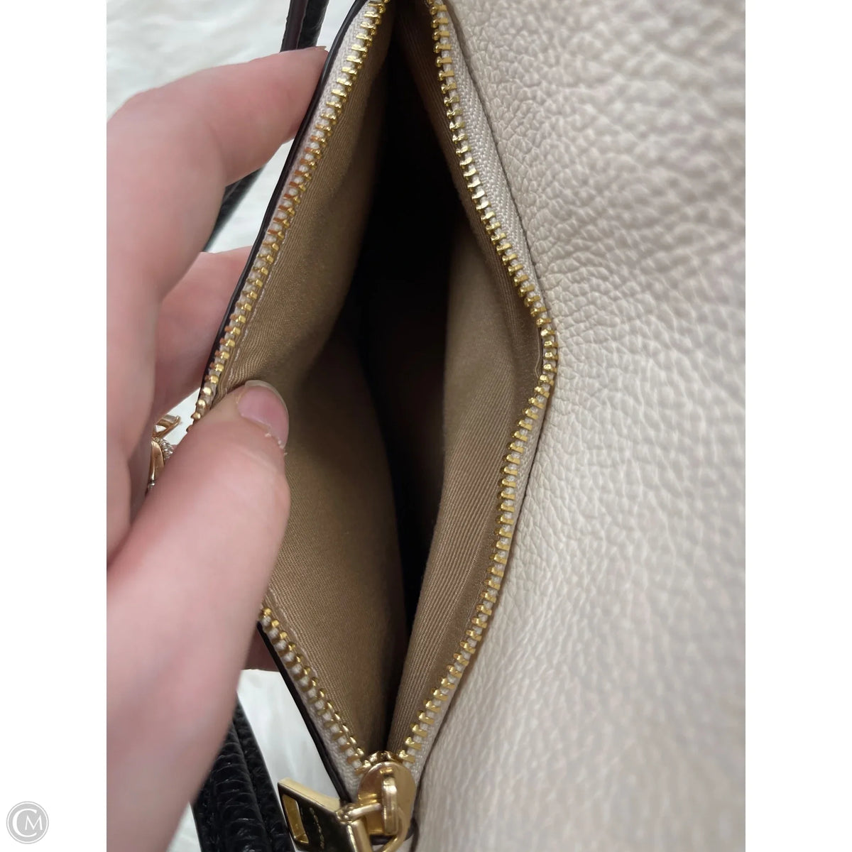 Handbag Designer By Coach, Size: Medium