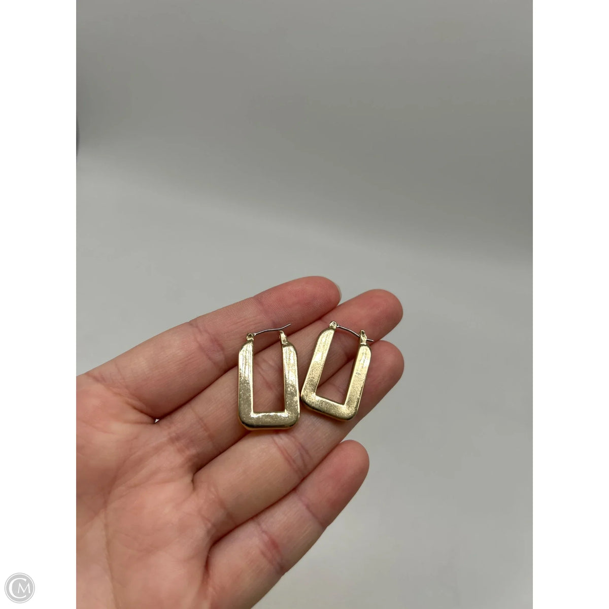Earrings Hoop By Clothes Mentor