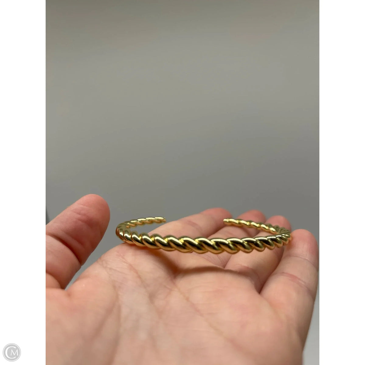 Bracelet Bangle By Clothes Mentor