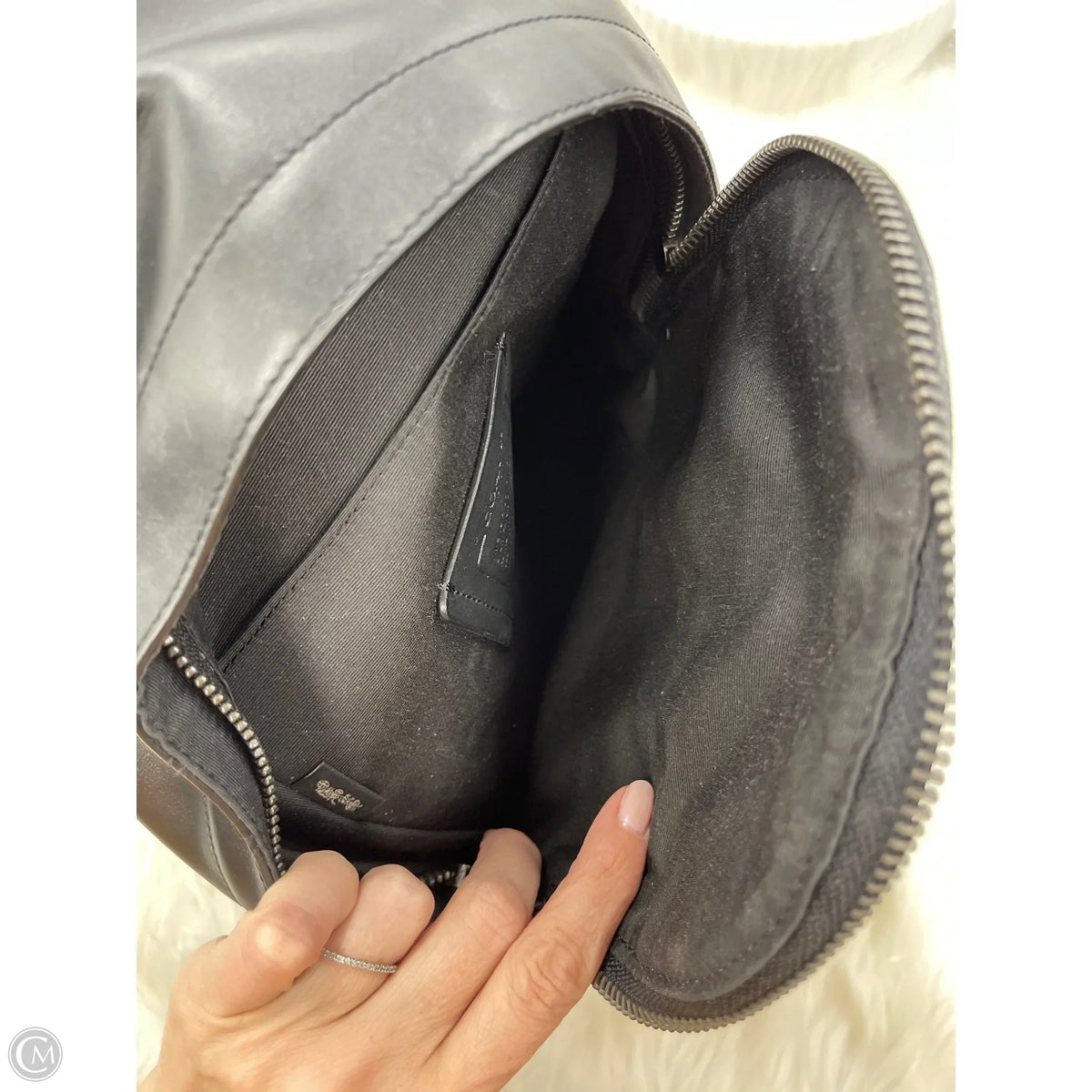 Backpack Designer By Coach, Size: Medium